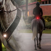 Kavalkade Cuirasse/selle Horselight Noir/Gris