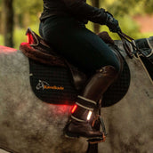 Kavalkade Plastron/Selle/Jambe Horselight Noir/Gris