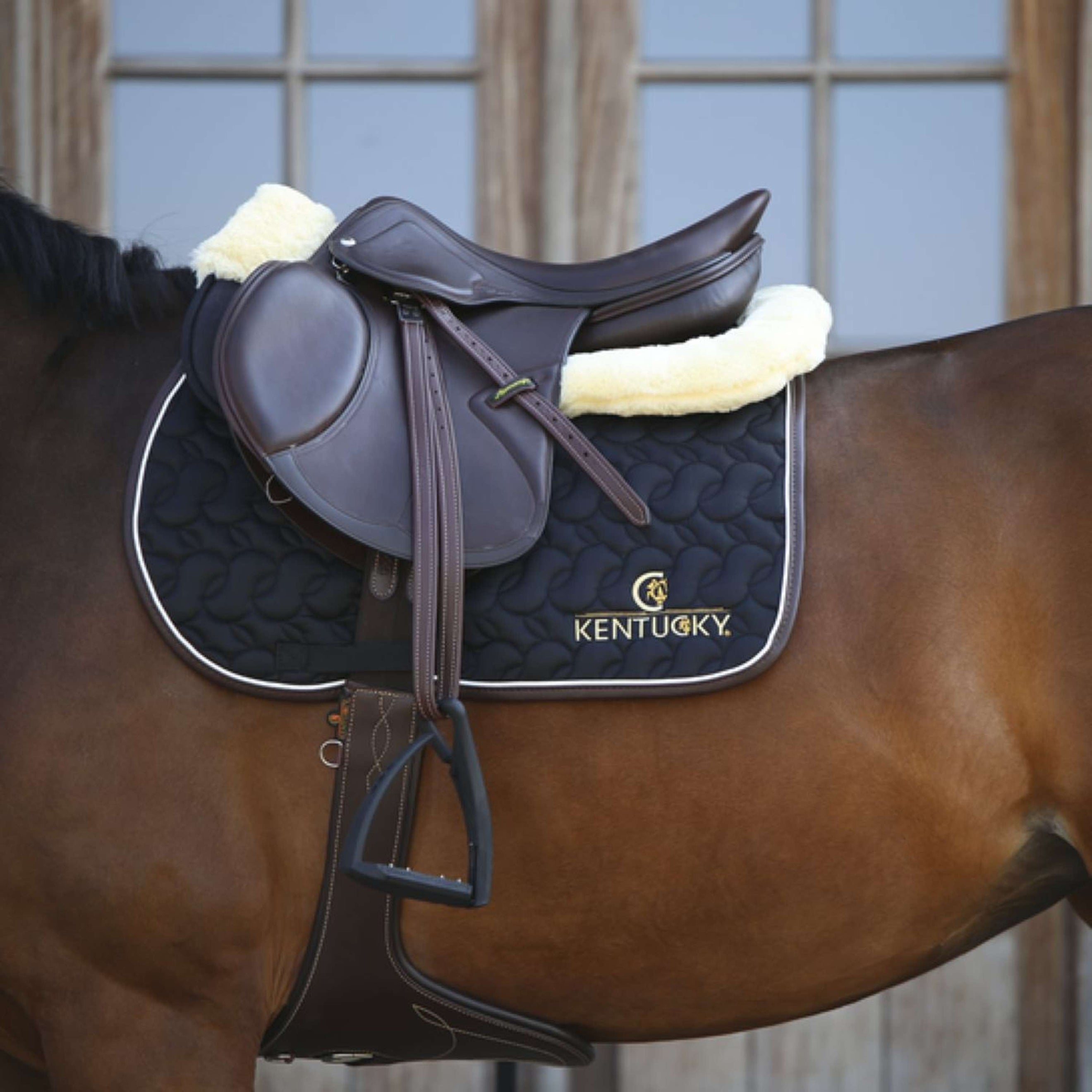 Kentucky Sangle d'Obstacle Stud Marron Kentucky Sangle d'Obstacle Stud Marron