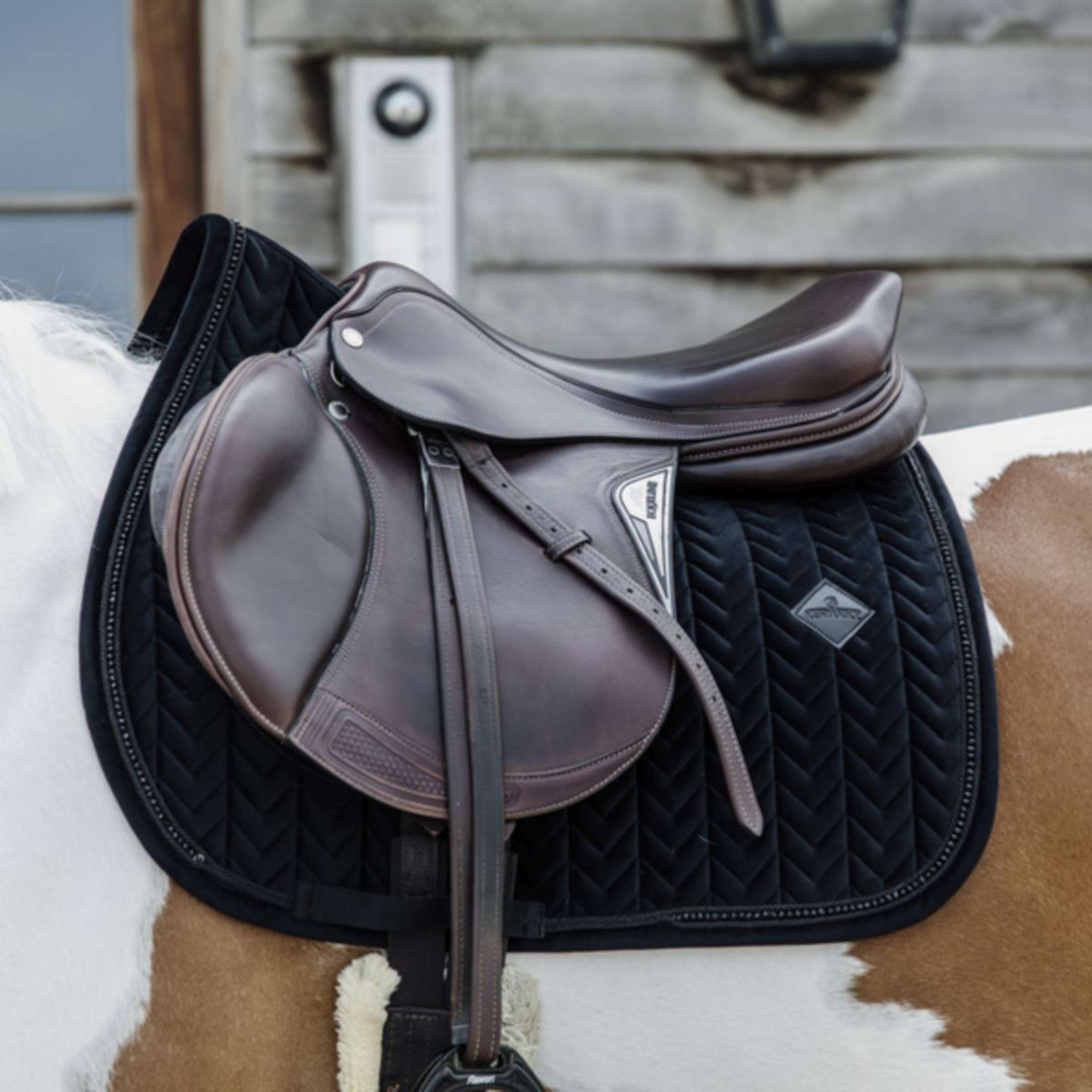 Kentucky Tapis de Selle velours Pearls de Saut Noir Kentucky Tapis de Selle velours Pearls de Saut Noir