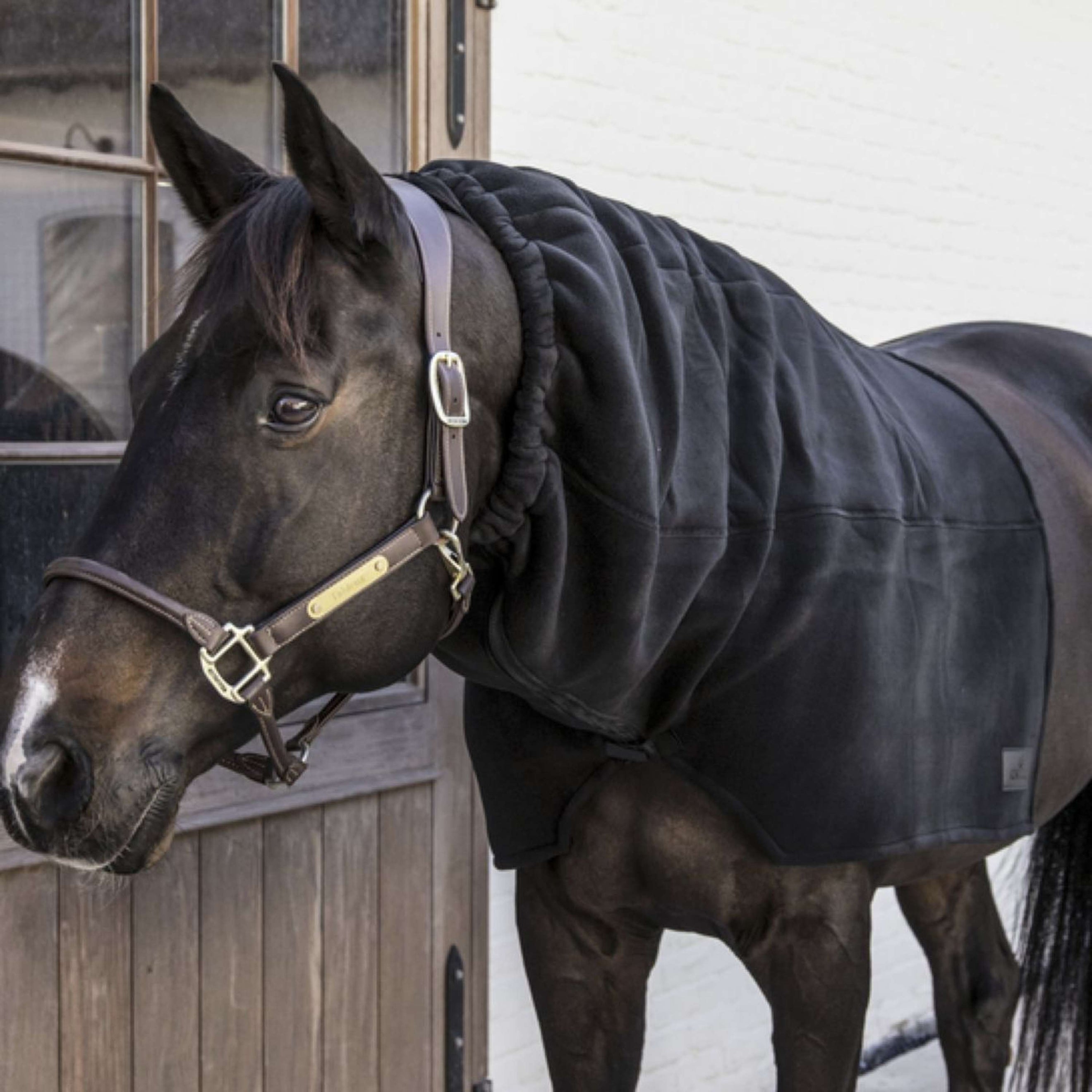 Kentucky Cou Heavy Fleece Noir Kentucky Cou Heavy Fleece Noir