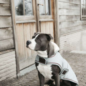 Kentucky Veste pour Chien Waterproof 160g Dusty Blue