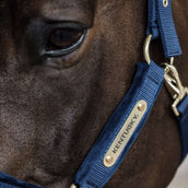 Kentucky Licol velours Marin
