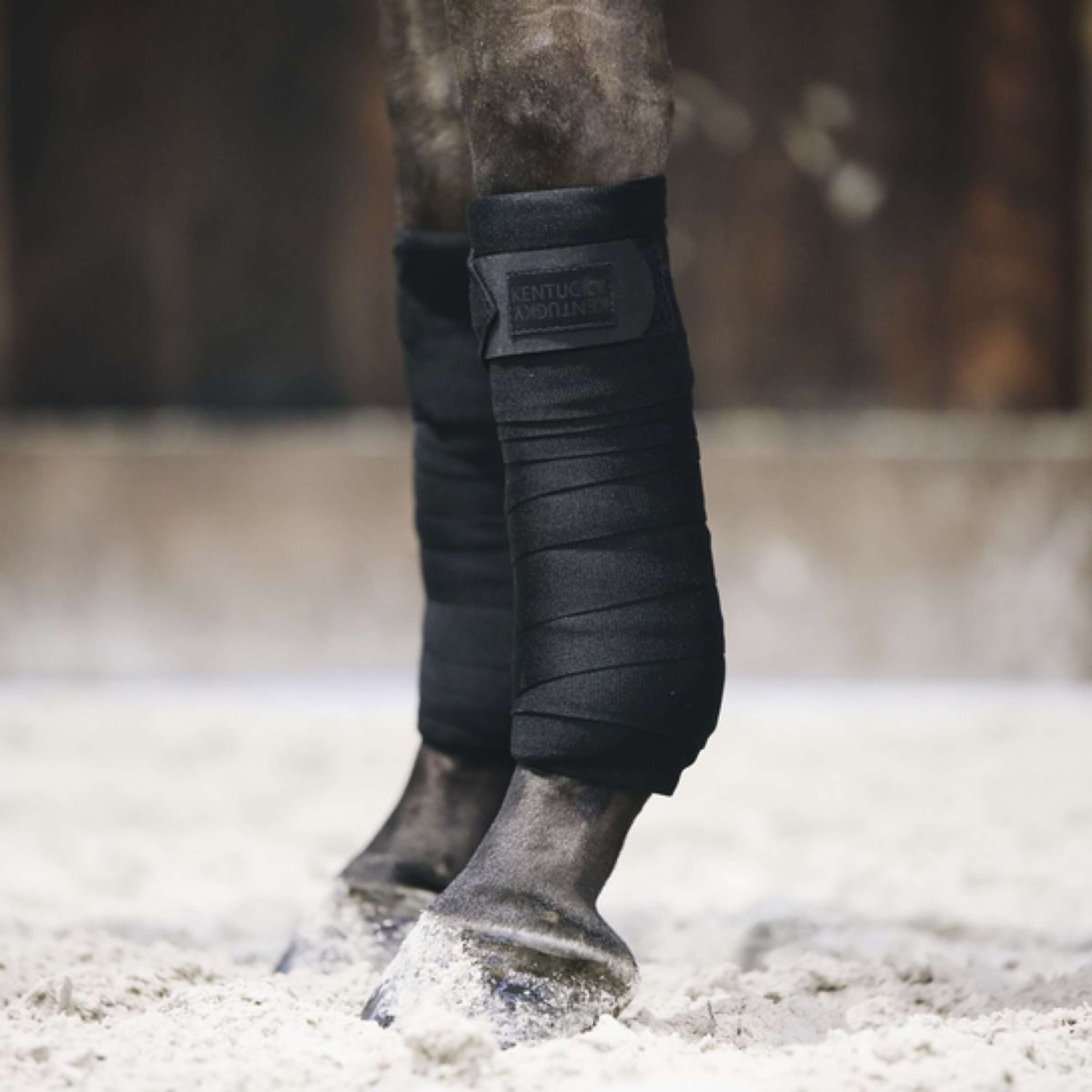 Kentucky Bandages Repellent Noir Kentucky Bandages Repellent Noir