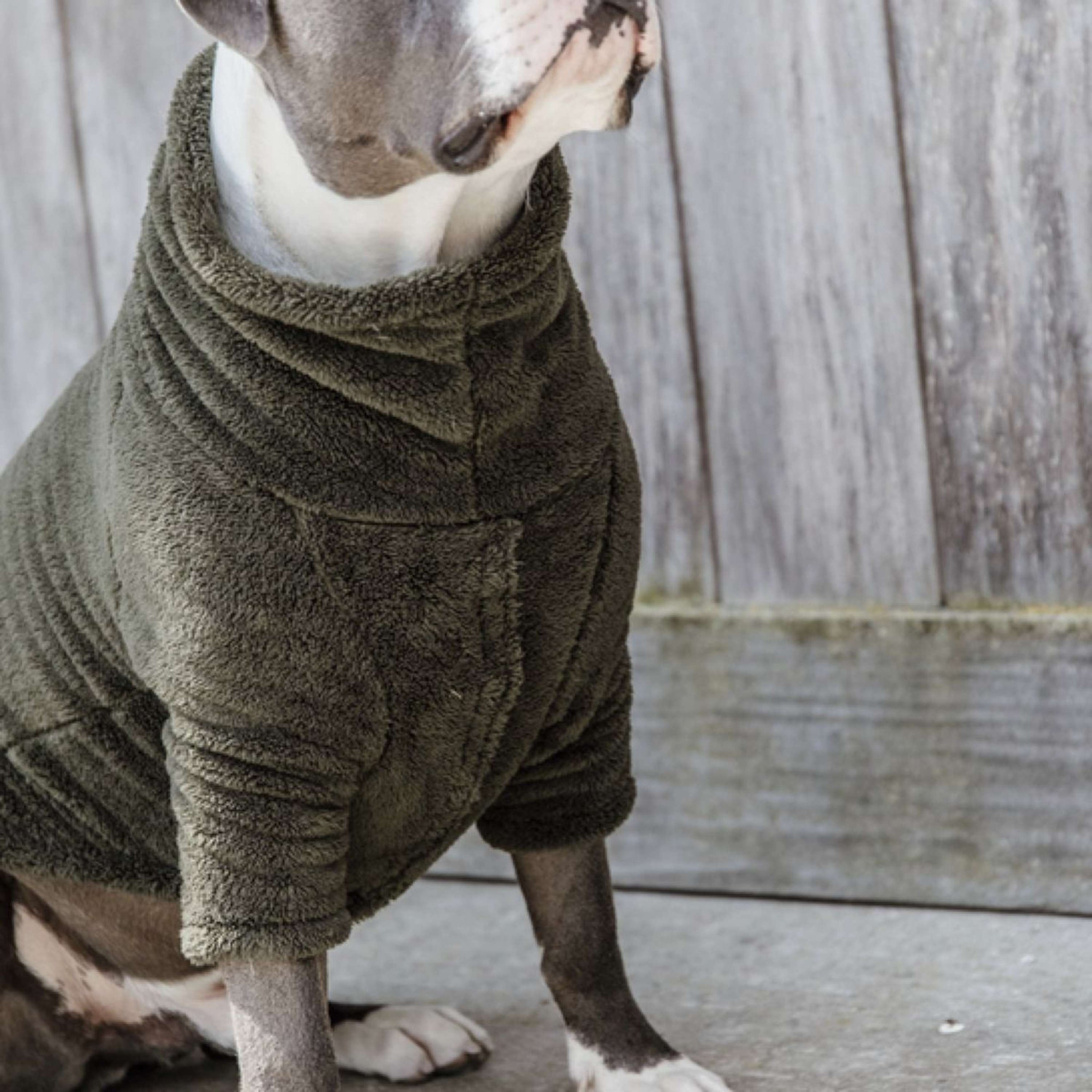 Kentucky Pull Chien Teddy Fleece Pine Green Kentucky Pull Chien Teddy Fleece Pine Green