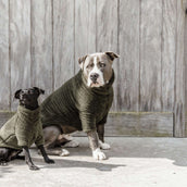 Kentucky Pull Chien Teddy Fleece Pine Green