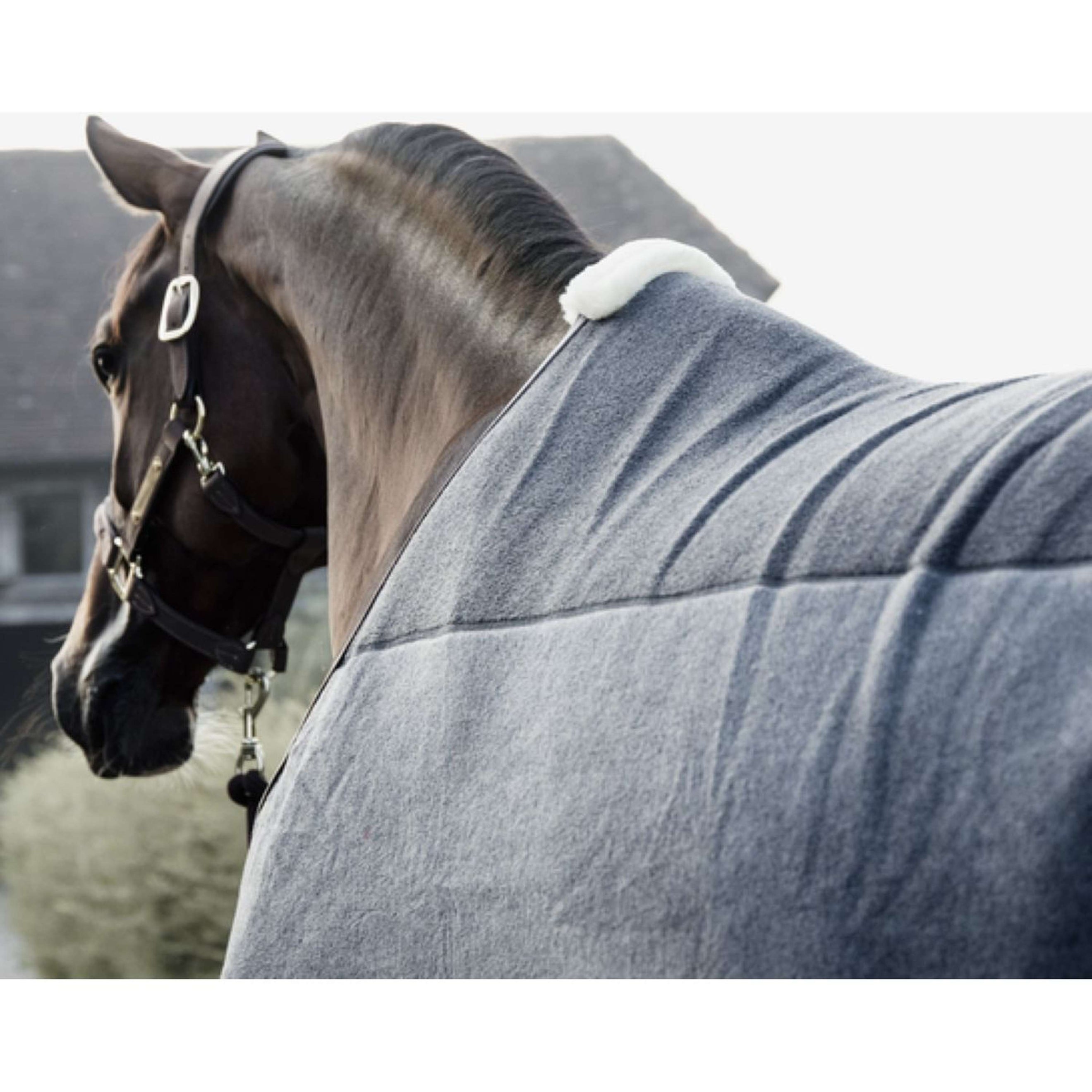 Kentucky Couverture Polaire Heavy Gris Kentucky Couverture Polaire Heavy Gris