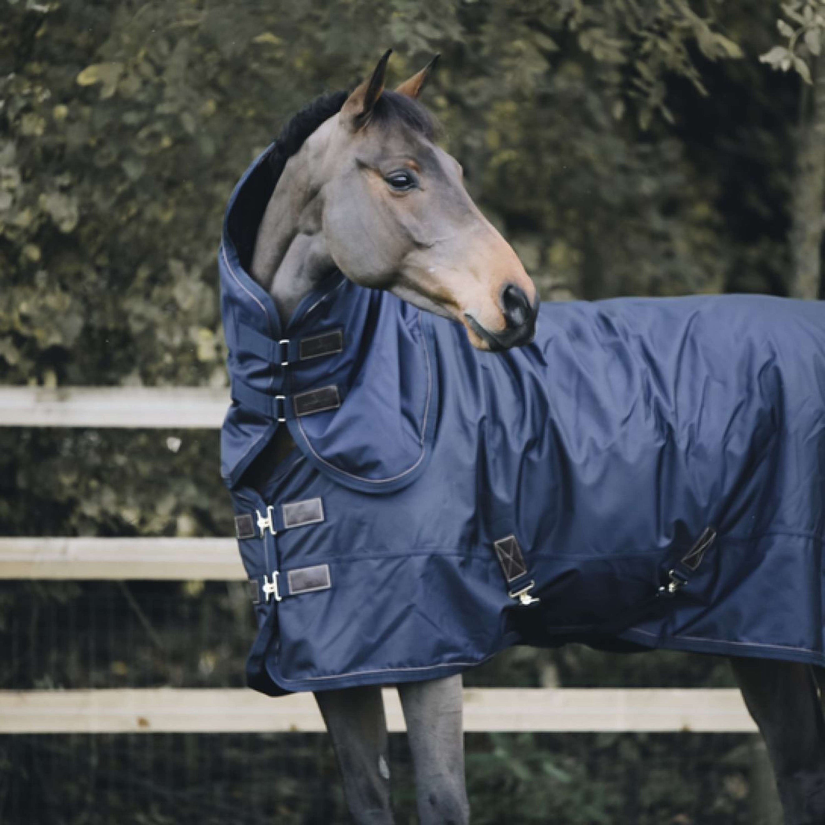Kentucky Couvre-Cou All Weather 150g Marin