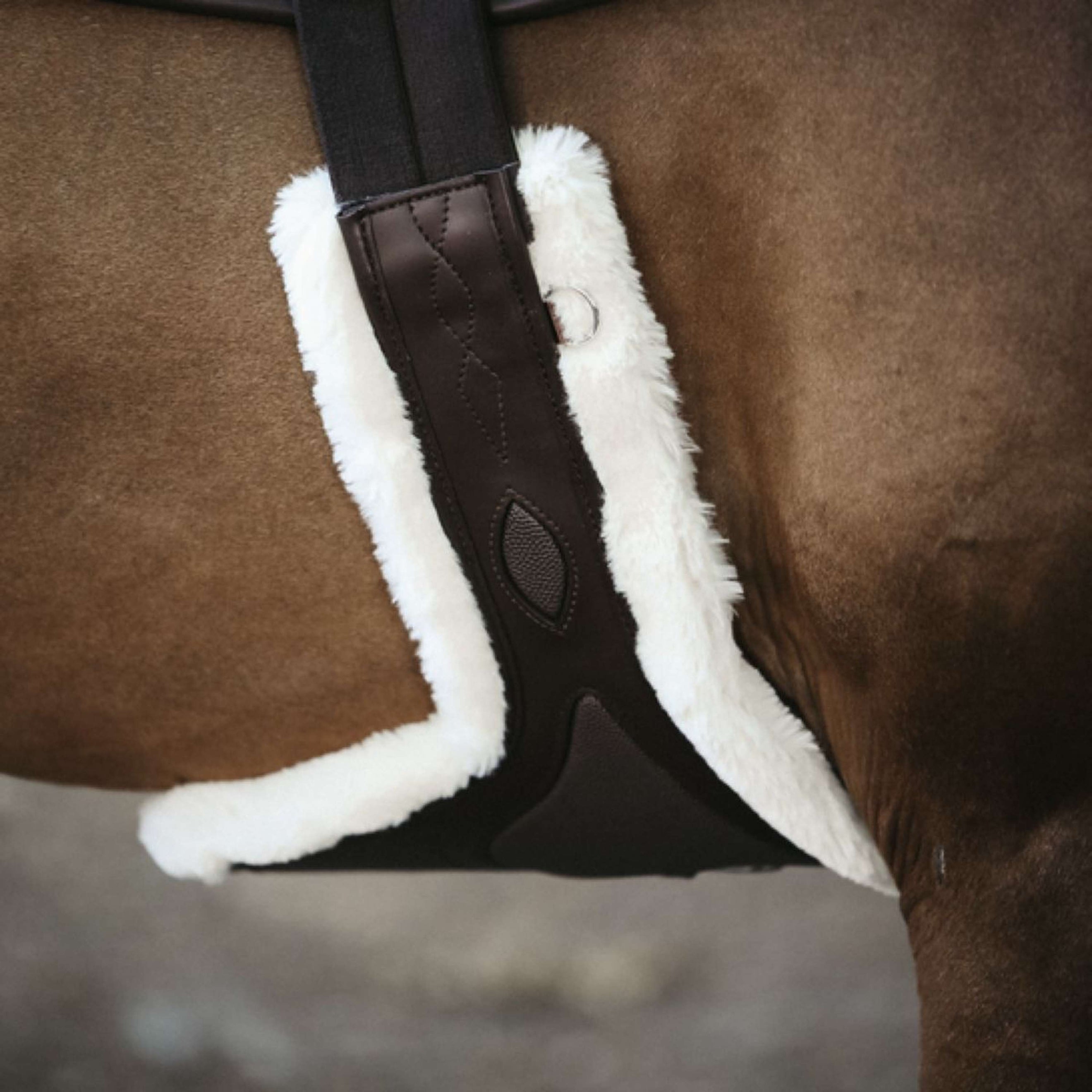 Kentucky Sangle Bavette Sheepskin Special pour le Saut Marron Kentucky Sangle Bavette Sheepskin Special pour le Saut Marron