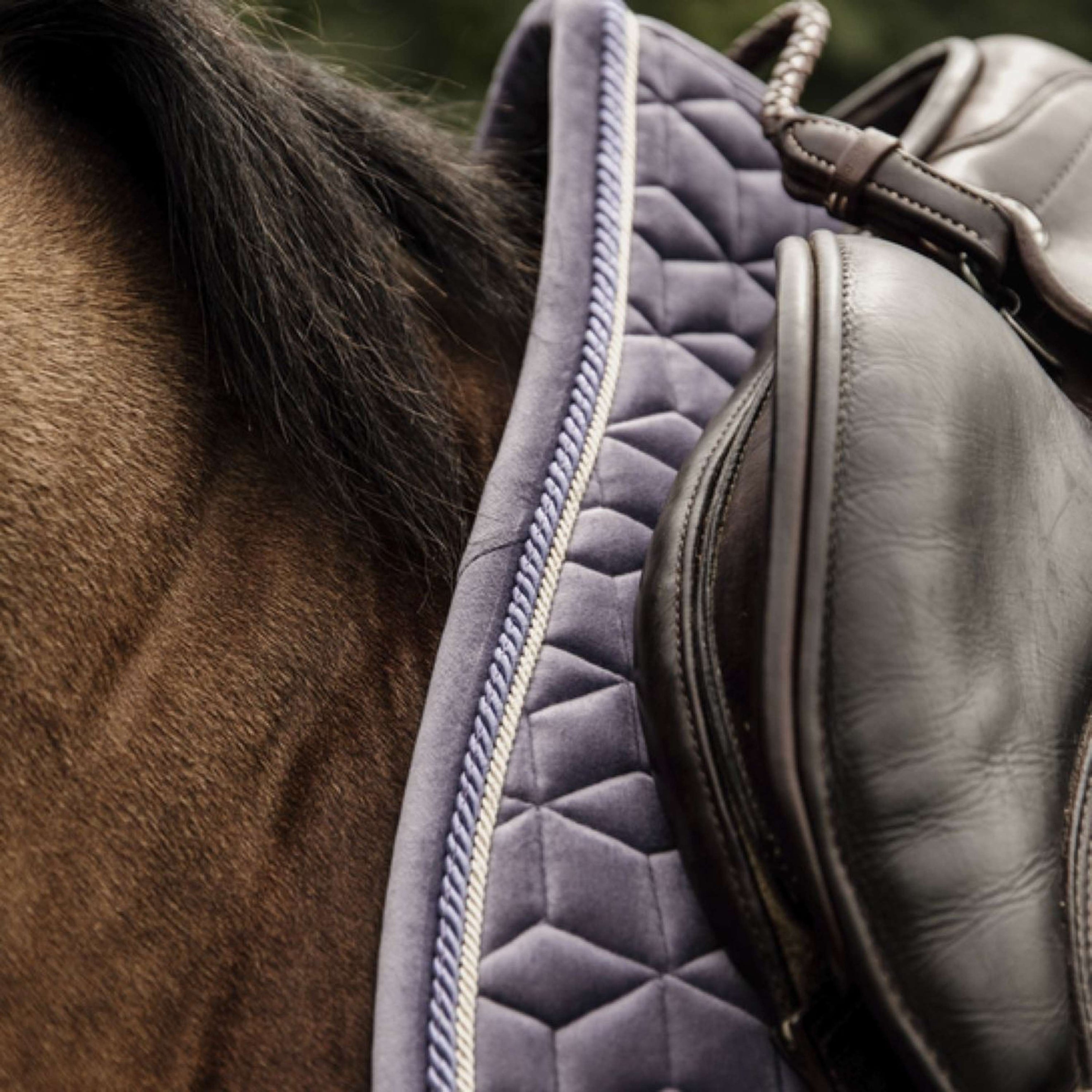 Kentucky Tapis de Selle Velvet de Saut Purper Kentucky Tapis de Selle Velvet de Saut Purper