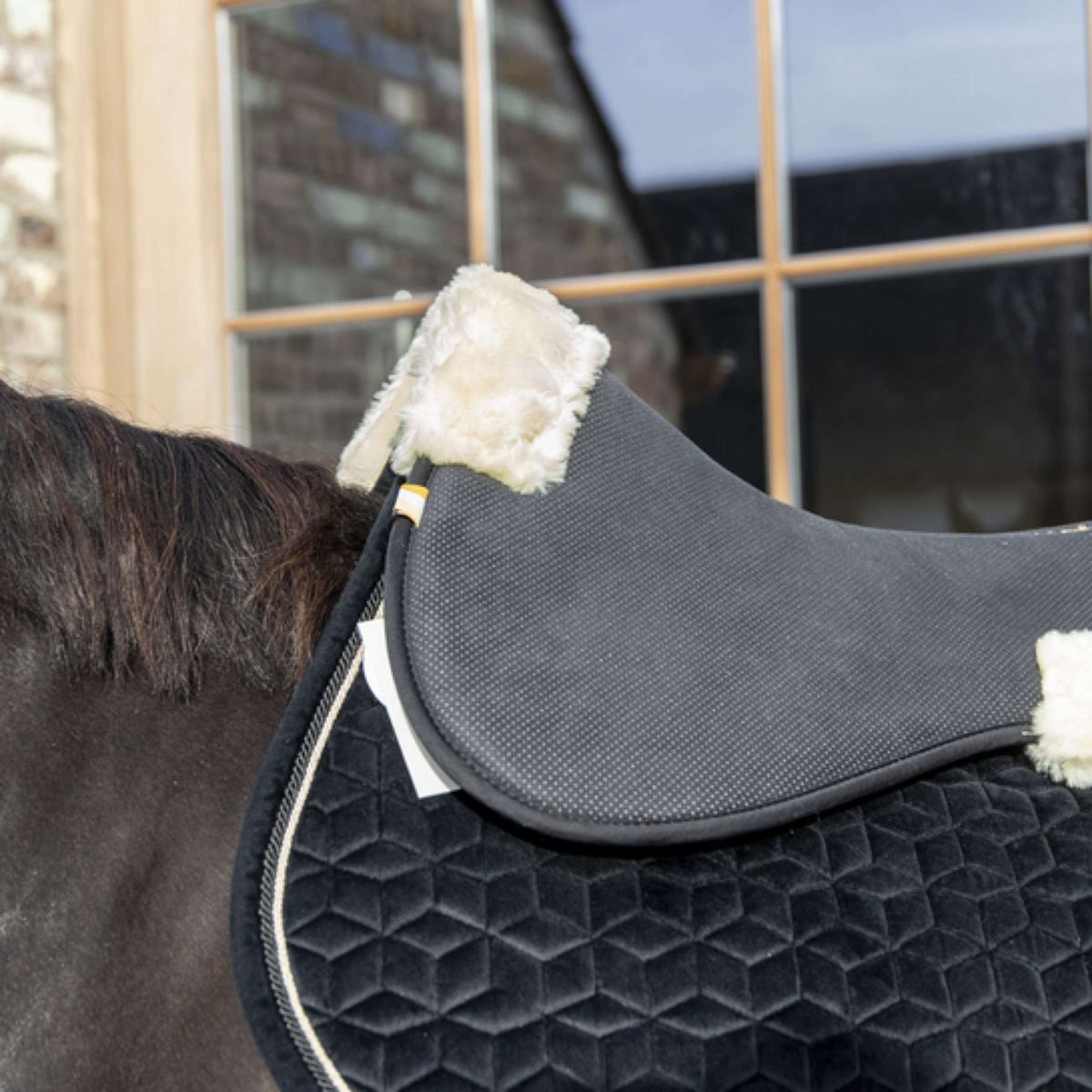 Kentucky Amortisseur Halfpad Anatomic Absorb Noir/Naturel