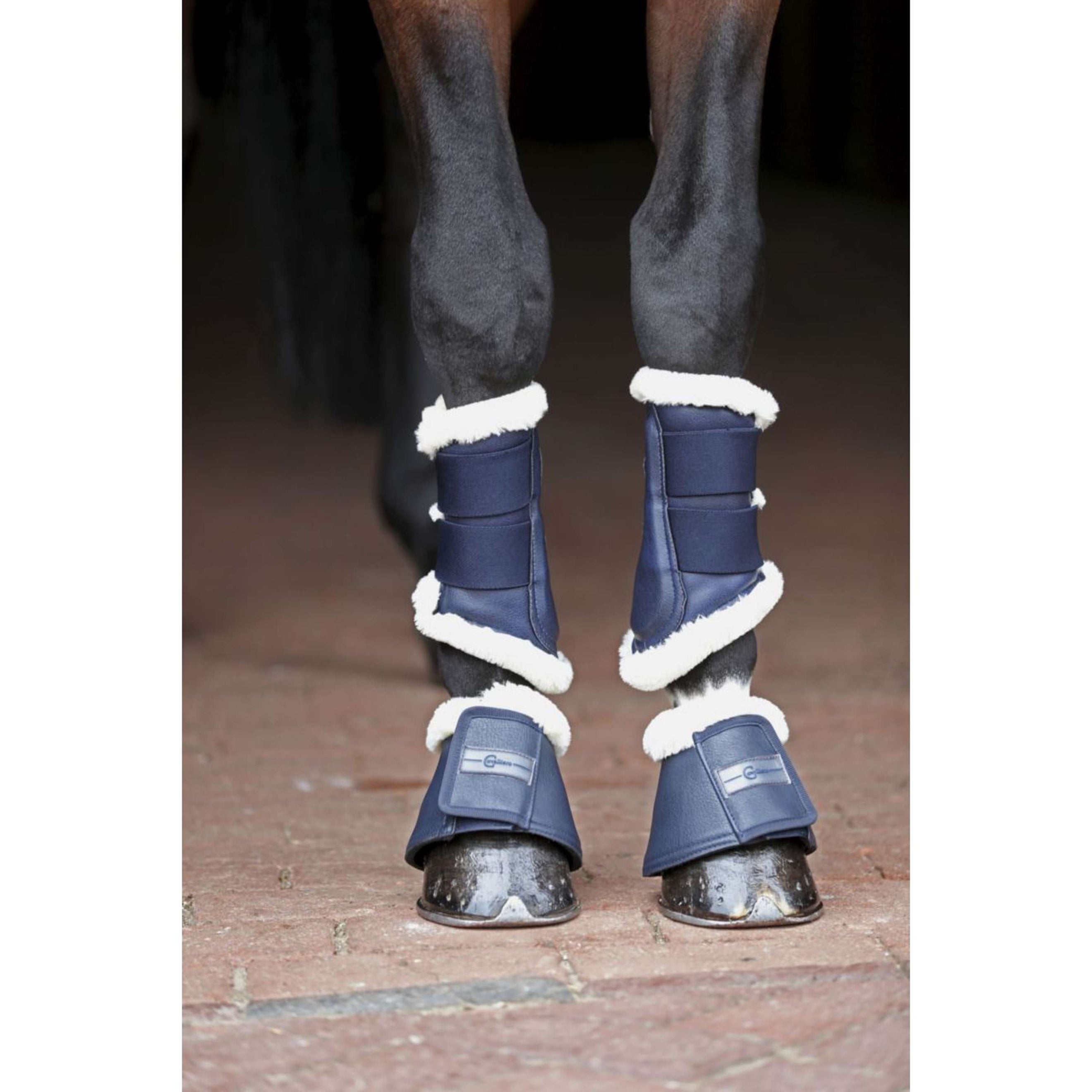 Covalliero Bottes de Dressage Pelisa Marin Covalliero Bottes de Dressage Pelisa Marin