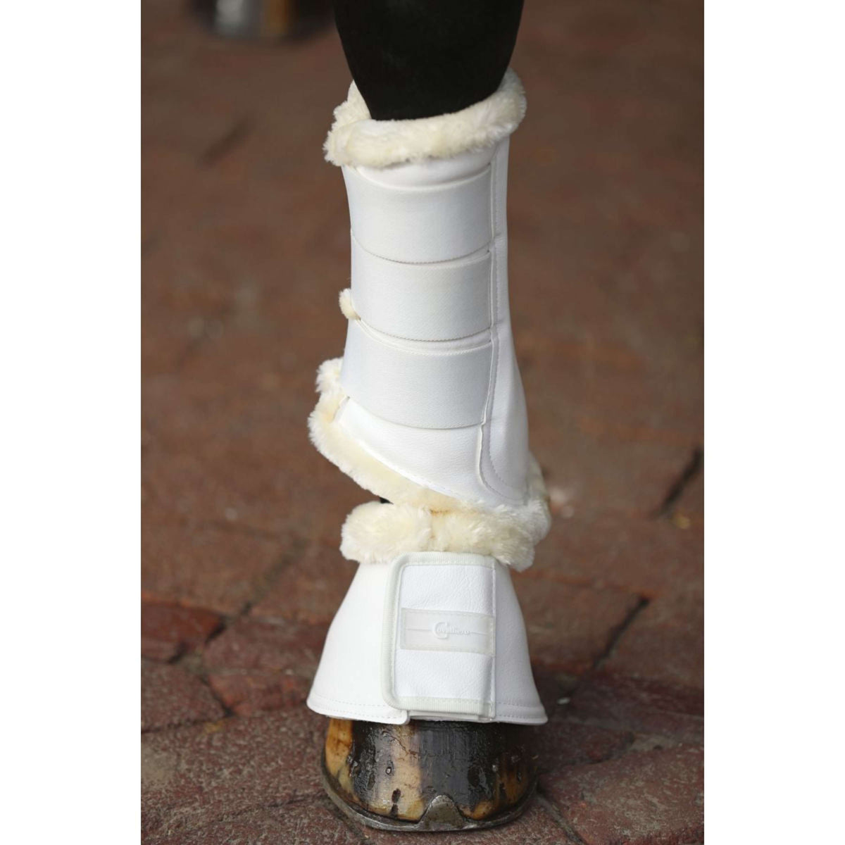 Covalliero Bottes de Dressage Pelisa Blanc