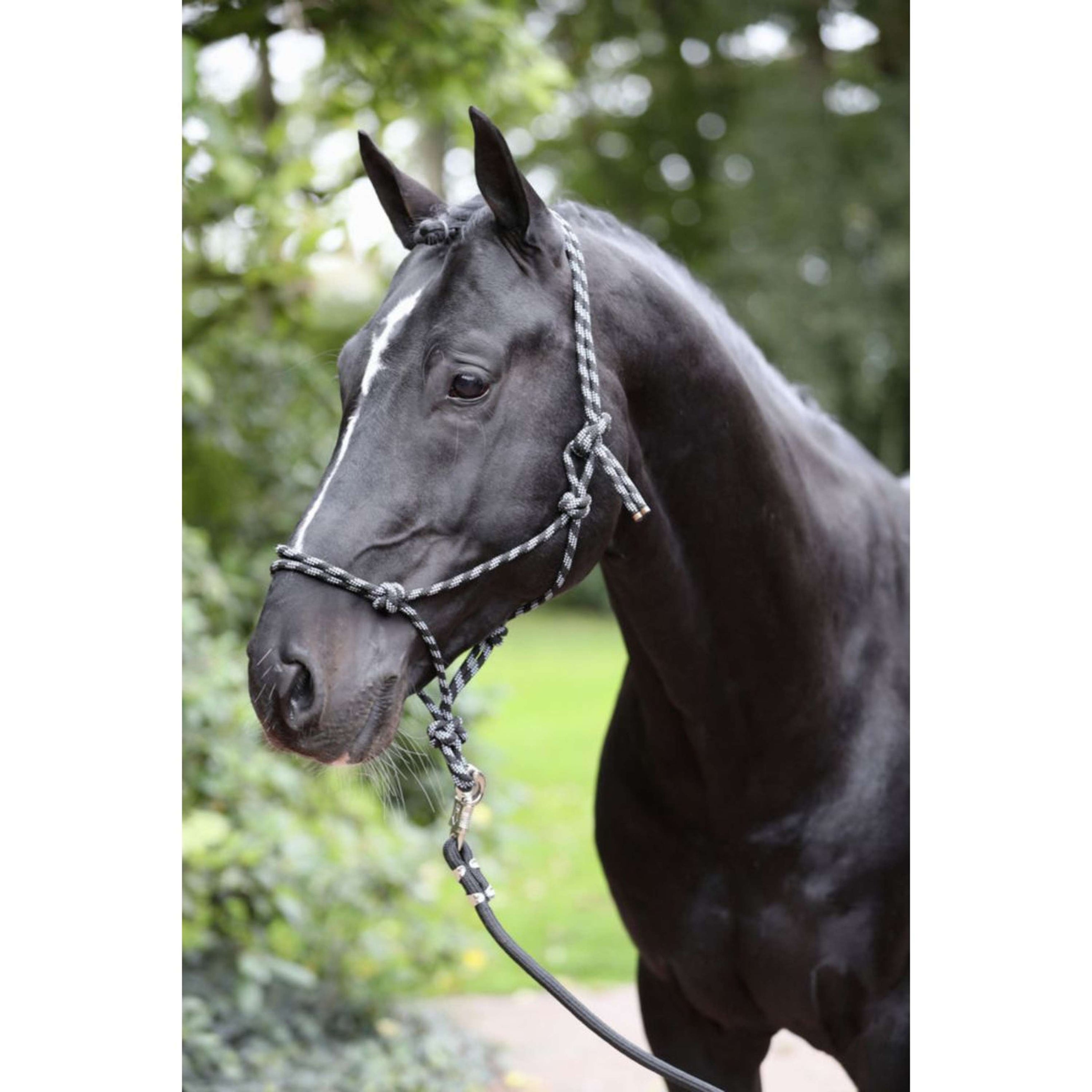 Kerbl Licol en Corde Noir/Gris