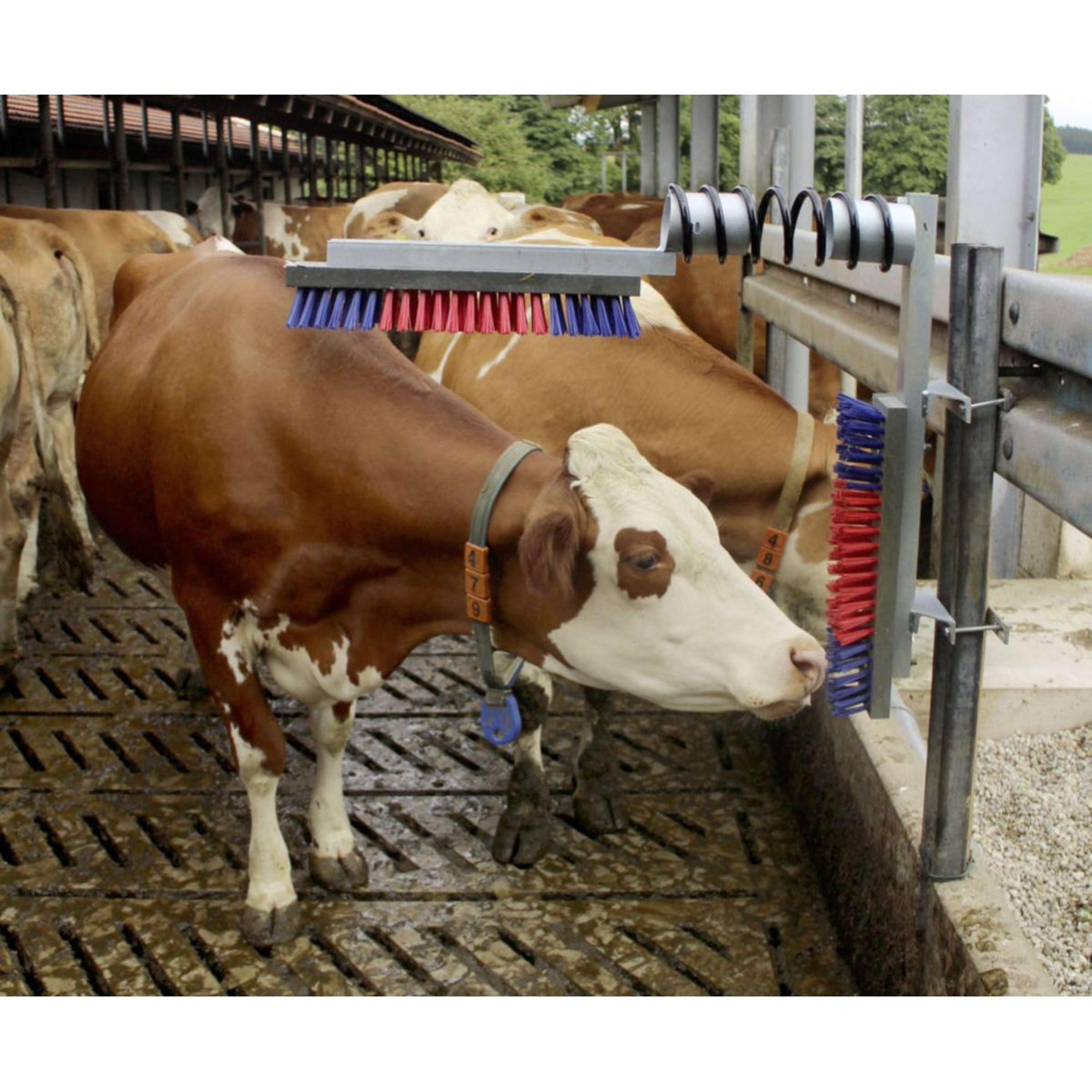 Kerbl Brosse à Bovin Euro Farm Complet Kerbl Brosse à Bovin Euro Farm Complet