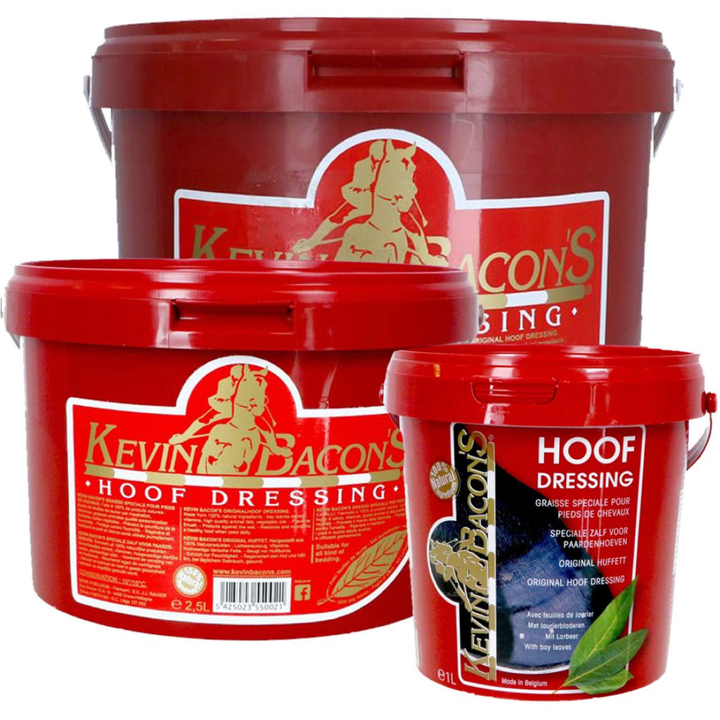 Kevin Bacon's Dressing pour Sabots Hiver