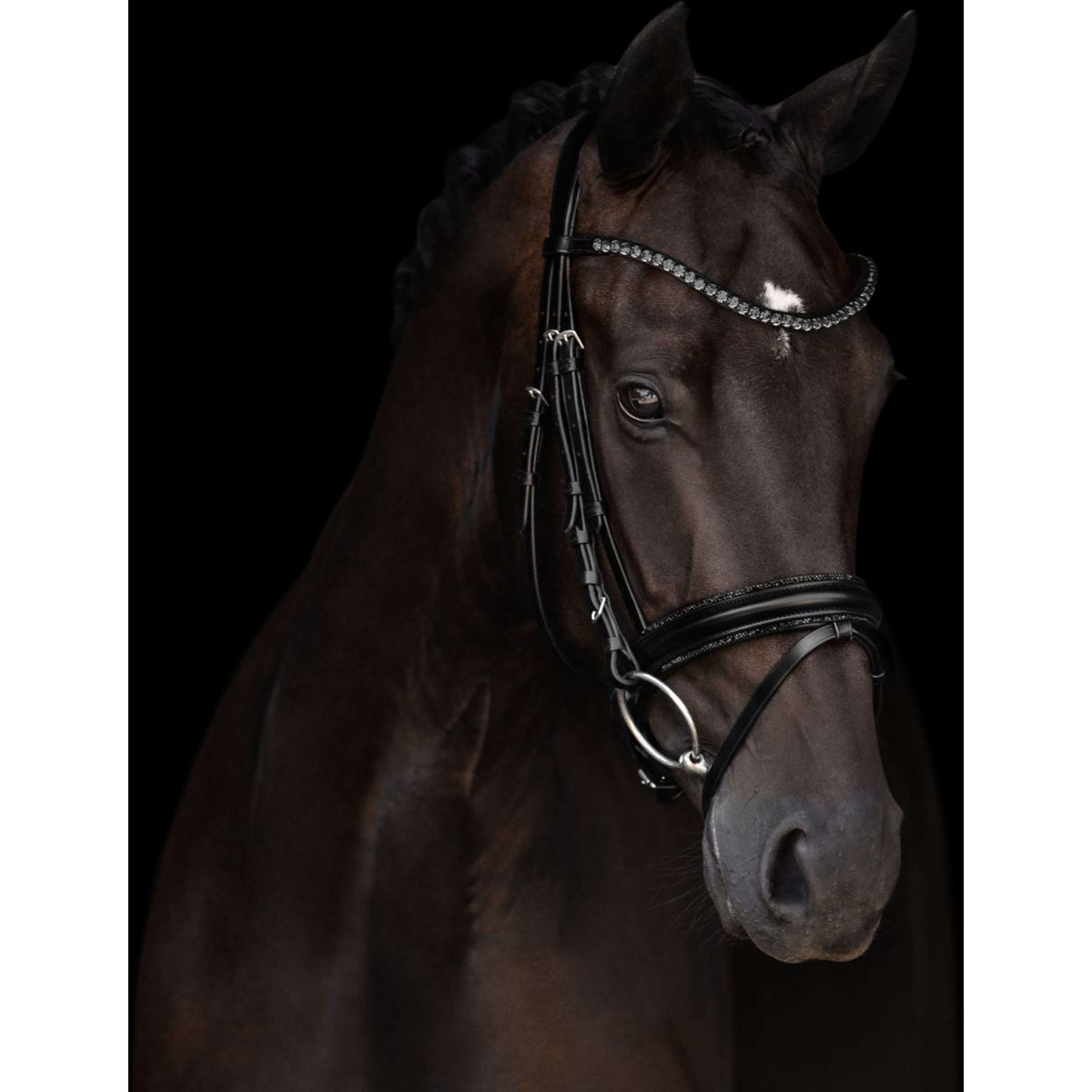 Kieffer Bride Grace Noir Kieffer Bride Grace Noir