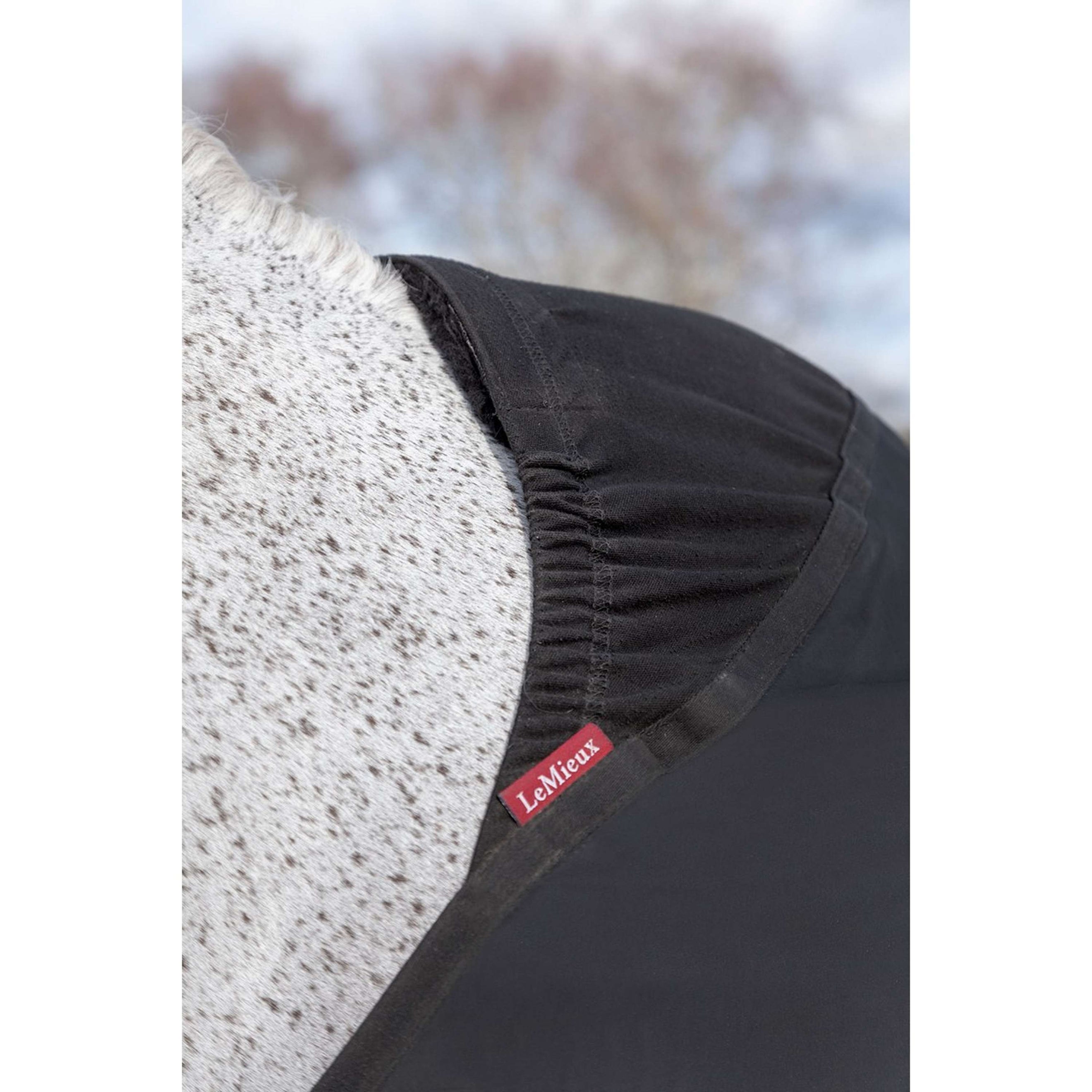 LeMieux Protection de Poitrail Bib Noir LeMieux Protection de Poitrail Bib Noir