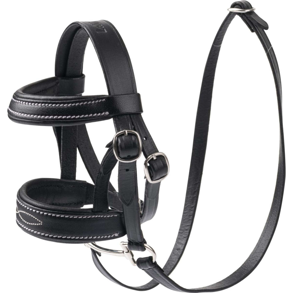 LeMieux Toy Pony Show Bride Noir