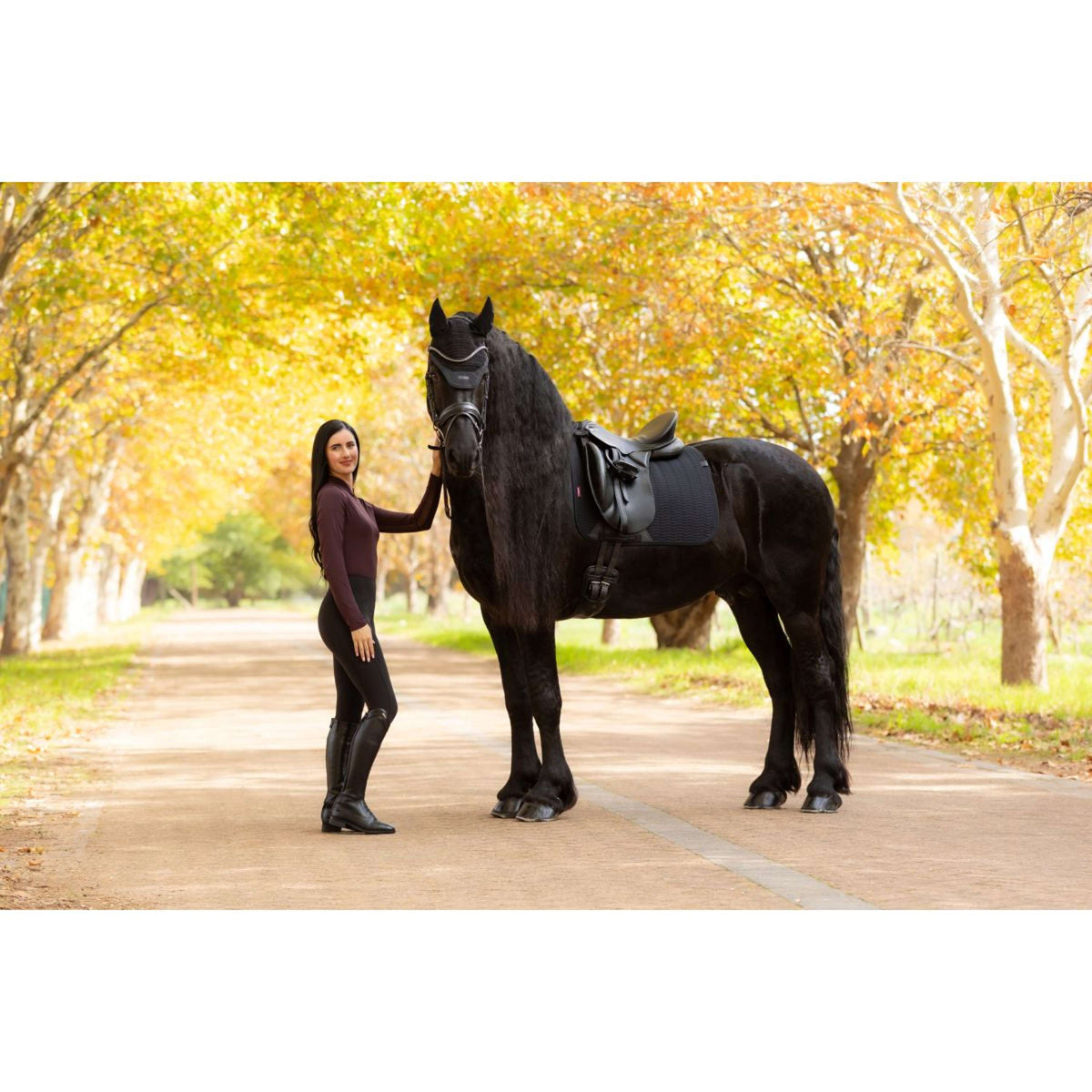 LeMieux Tapis de Selle Essence Dressage Noir