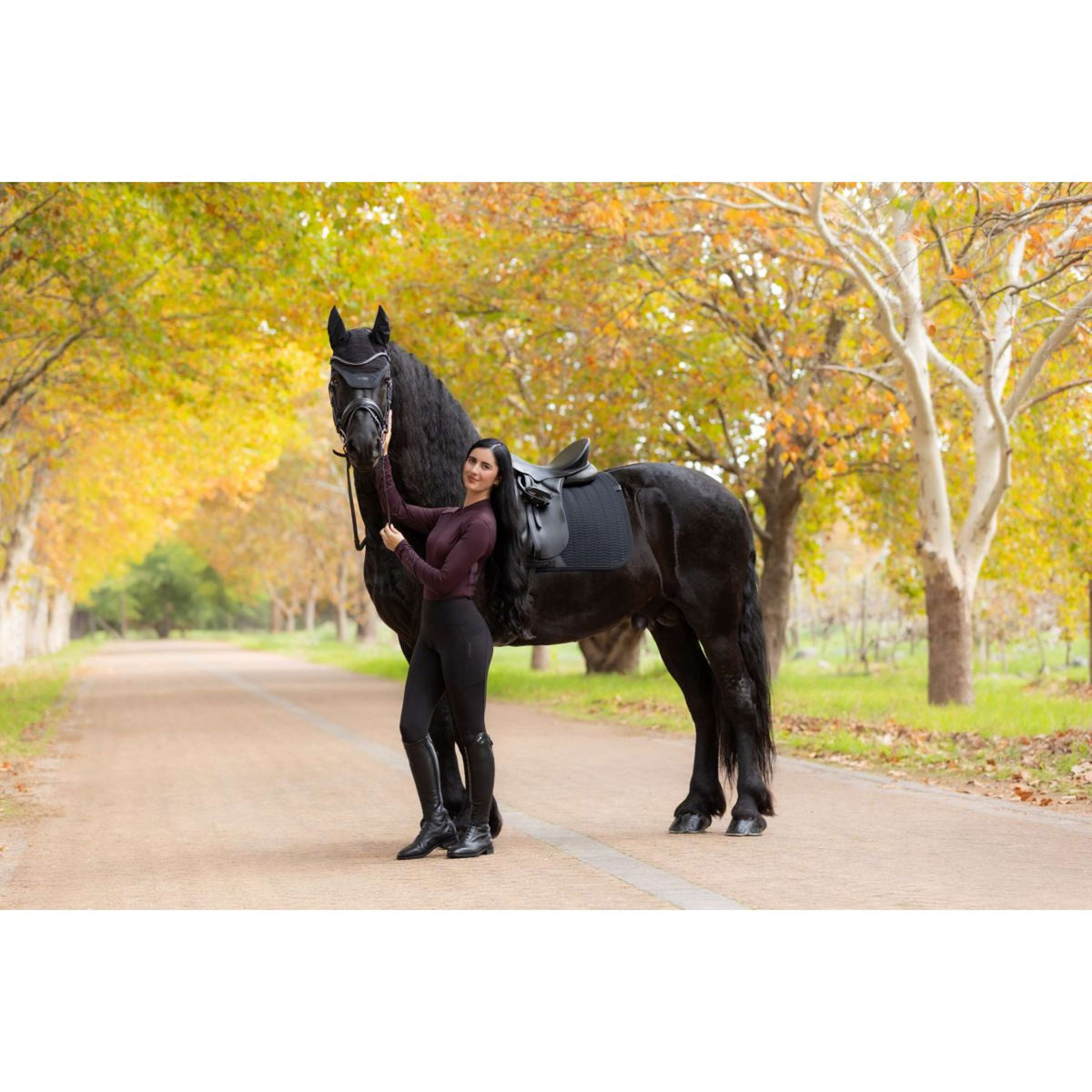 LeMieux Tapis de Selle Essence Dressage Noir