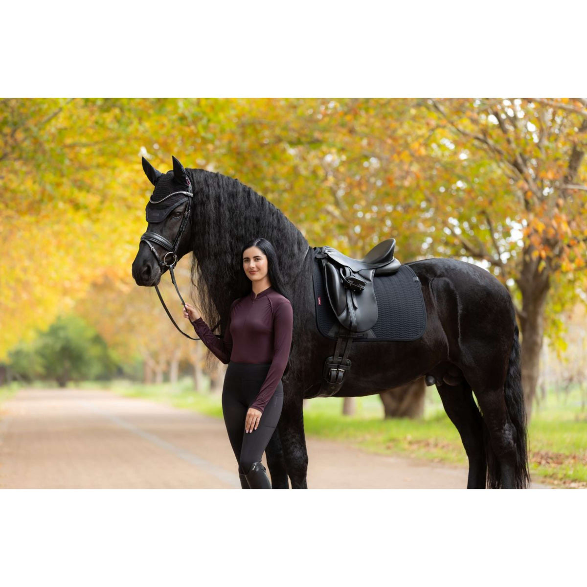 LeMieux Tapis de Selle Essence Dressage Noir
