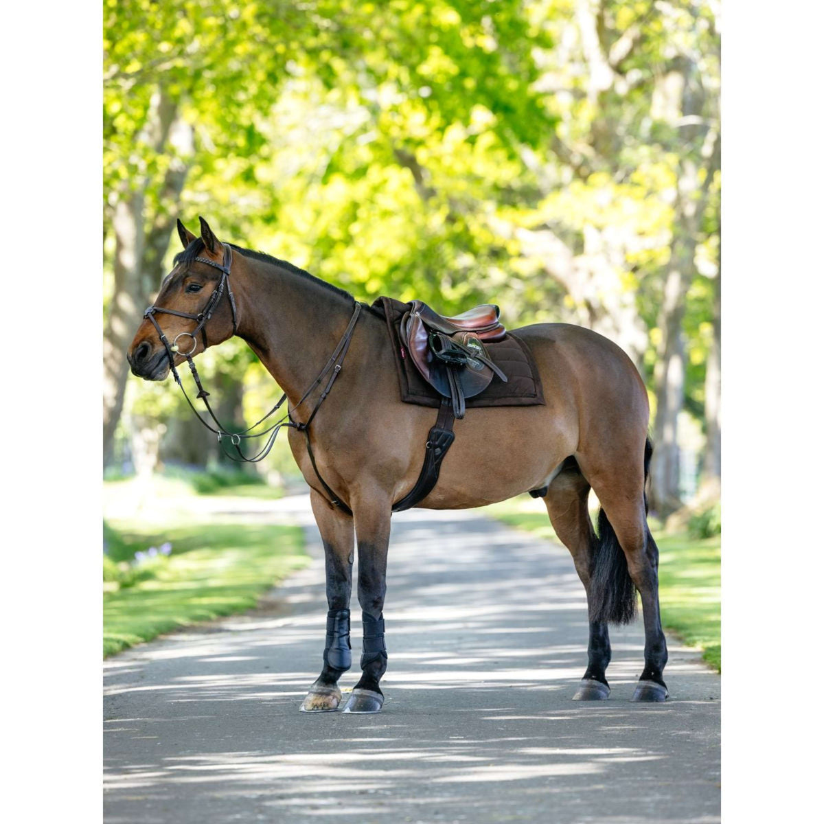 LeMieux Tapis de Selle Pillow Pad Marron