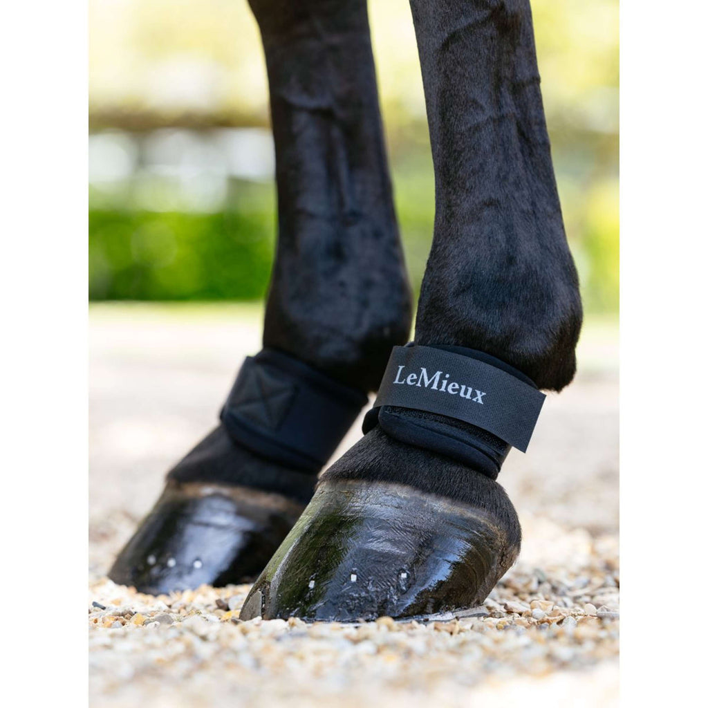 LeMieux Protège-Paturon Neoprene Noir