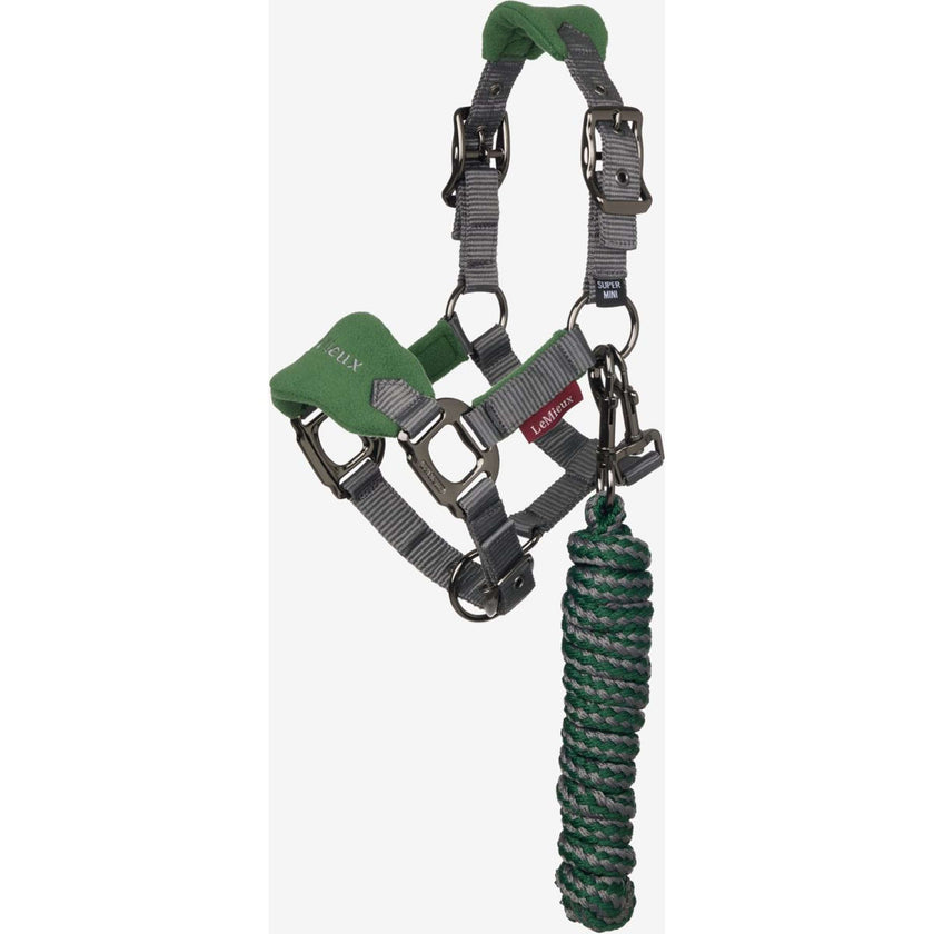 LeMieux Ensemble Licol Mini Vogue Hunter Green LeMieux Ensemble Licol Mini Vogue Hunter Green