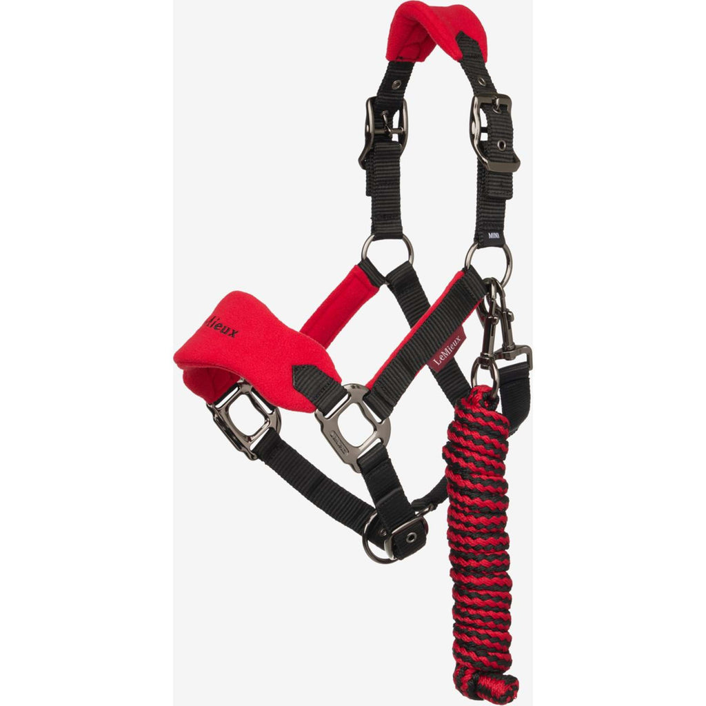 LeMieux Ensemble Licol Mini Vogue Chilli