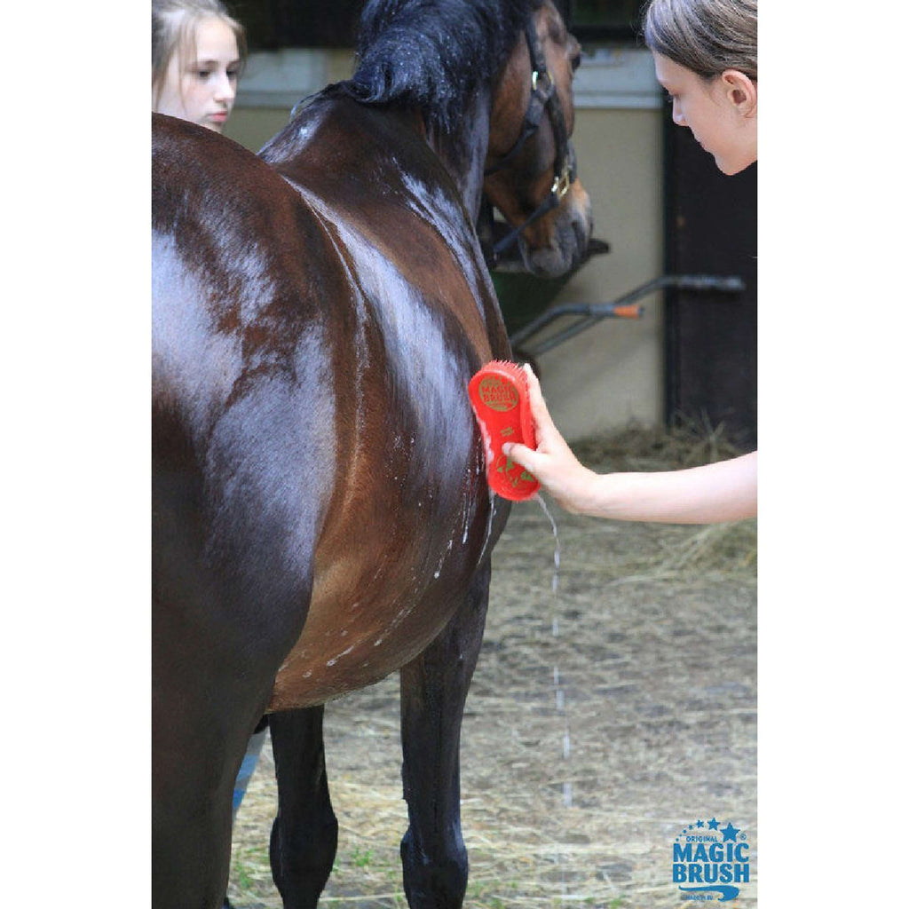 Agradi Horse Magic Brush Brosse Vert Foncé