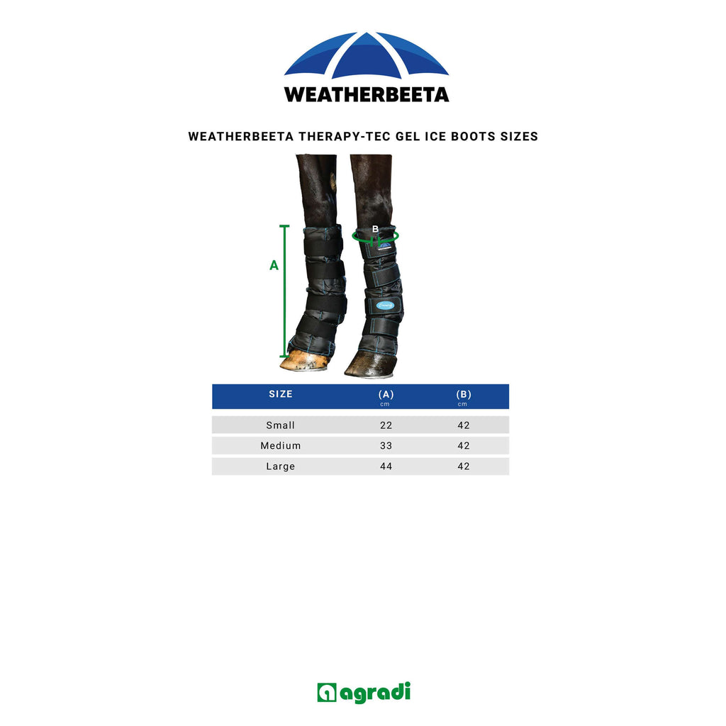 WeatherBeeta Ice Boots Therapy-Tec II Gel Noir