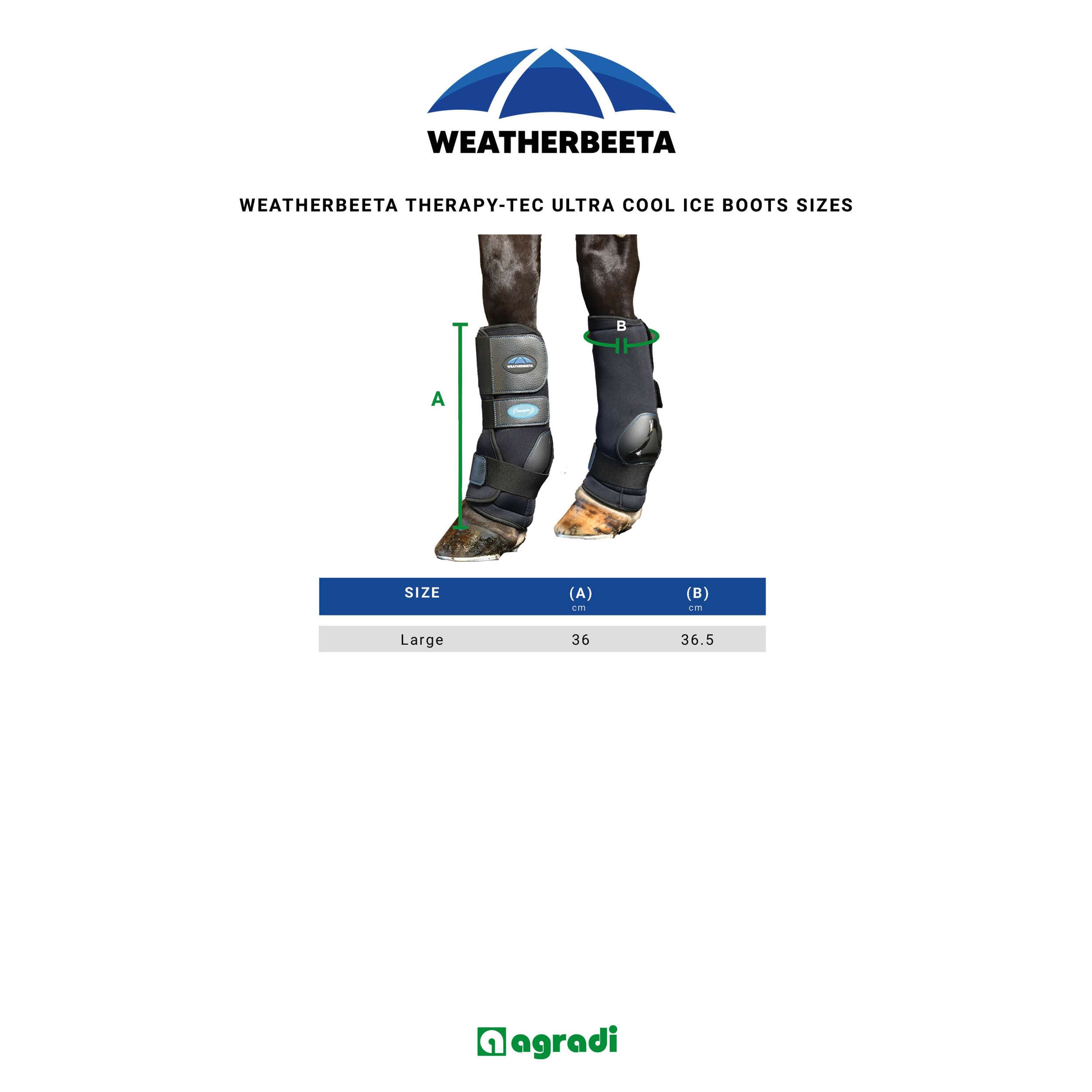WeatherBeeta Ice Boots Therapy-Tec II Ultra Cool Noir