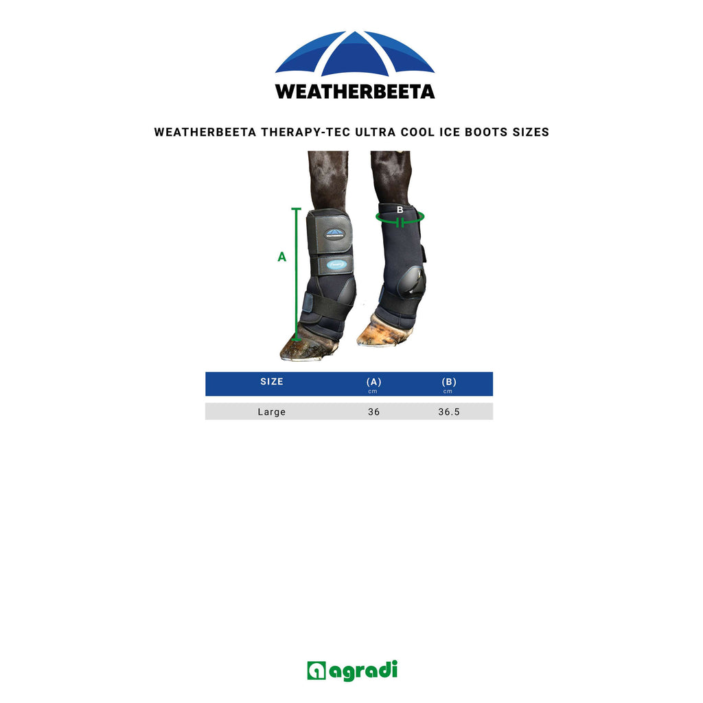WeatherBeeta Ice Boots Therapy-Tec II Ultra Cool Noir