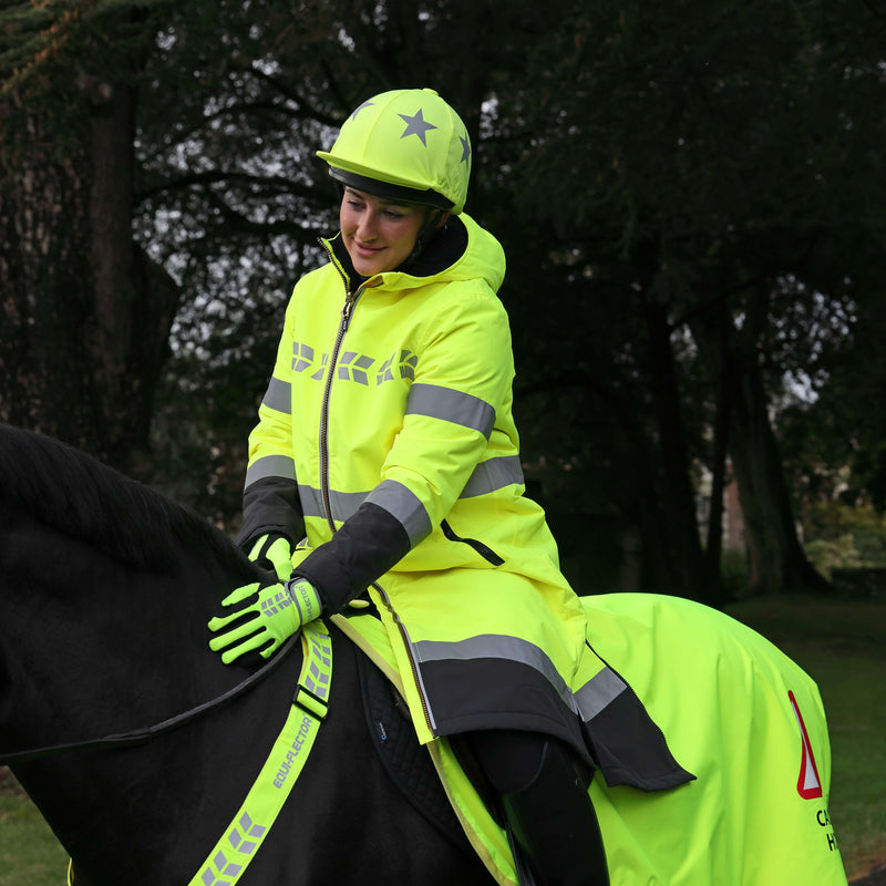 Reflectie Set Paard