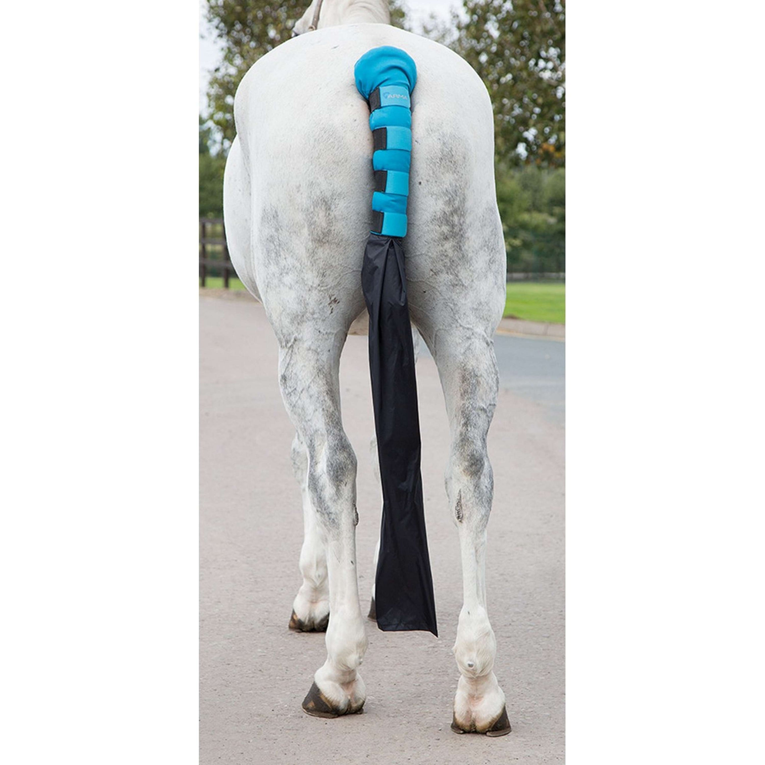 Arma by Shires Protege Queue Rembourré avec Sac Bleu Brillant
