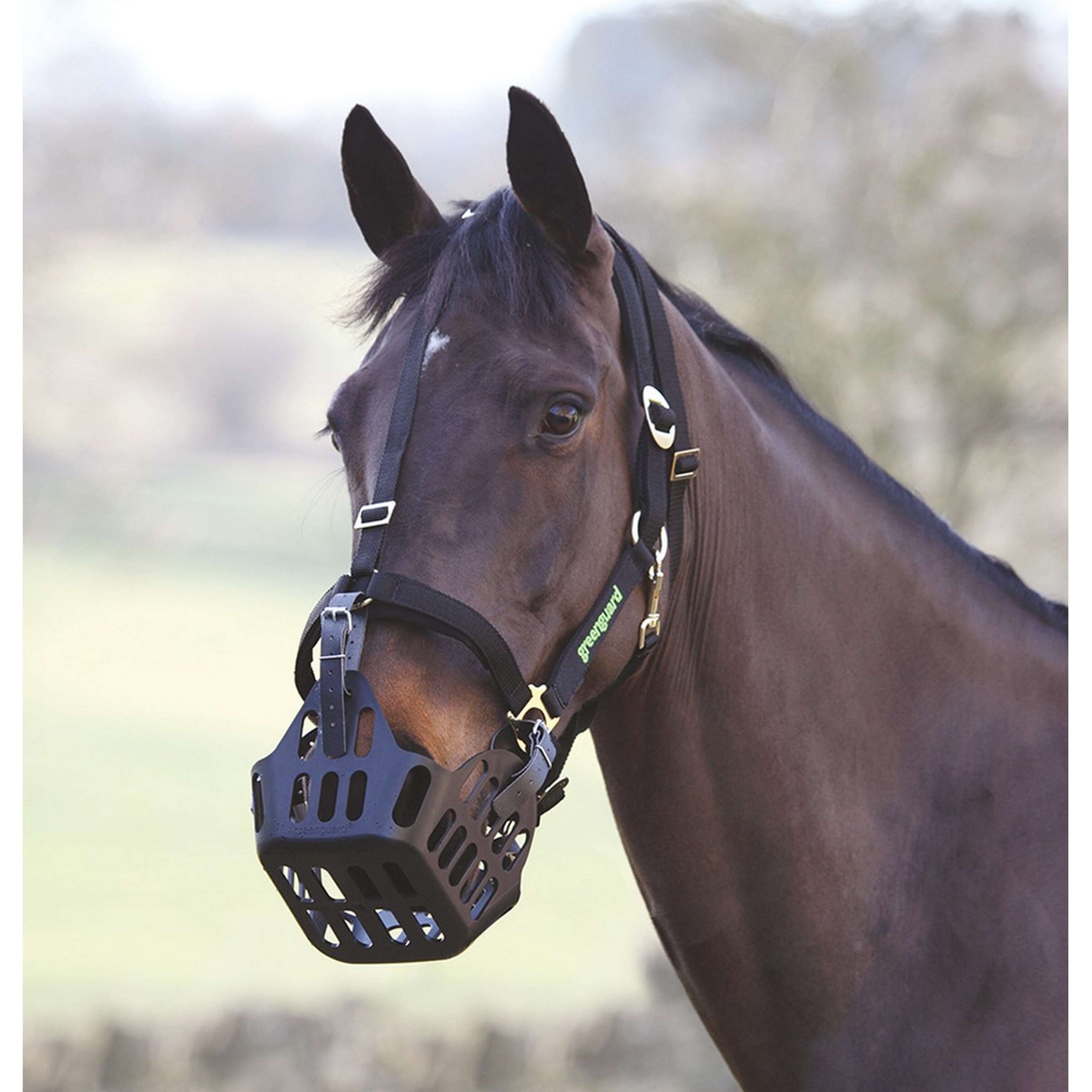 Muselière Greenguard by Shires pour Licol Noir Muselière Greenguard by Shires pour Licol Noir