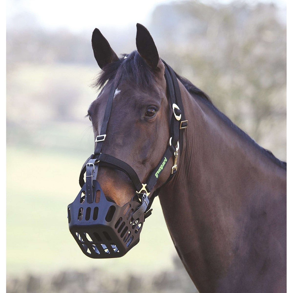 Muselière Greenguard by Shires pour Licol Noir
