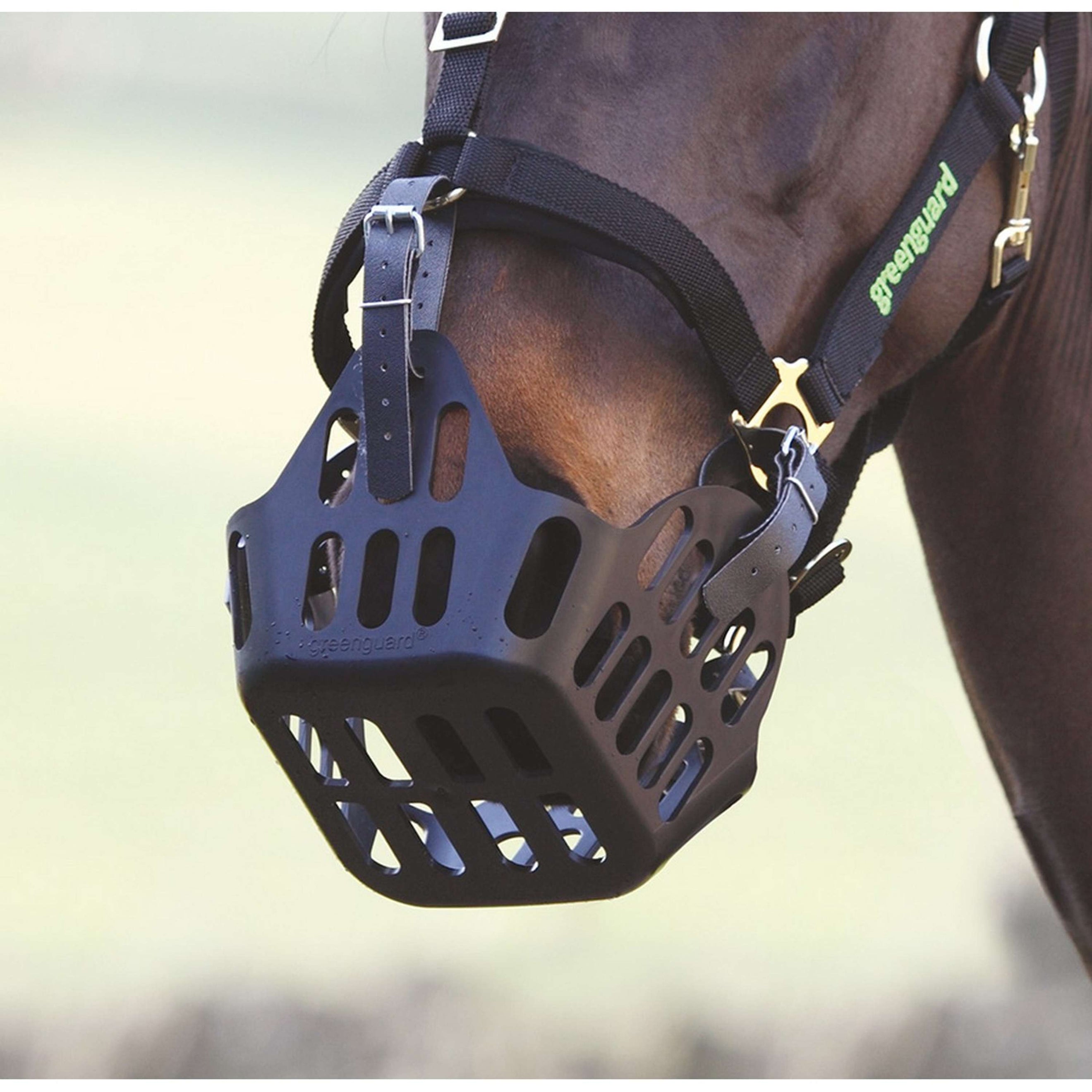 Greenguard by Shires Ceintures de Réserve Noir Greenguard by Shires Ceintures de Réserve Noir
