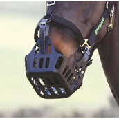 Greenguard by Shires Ceintures de Réserve Noir