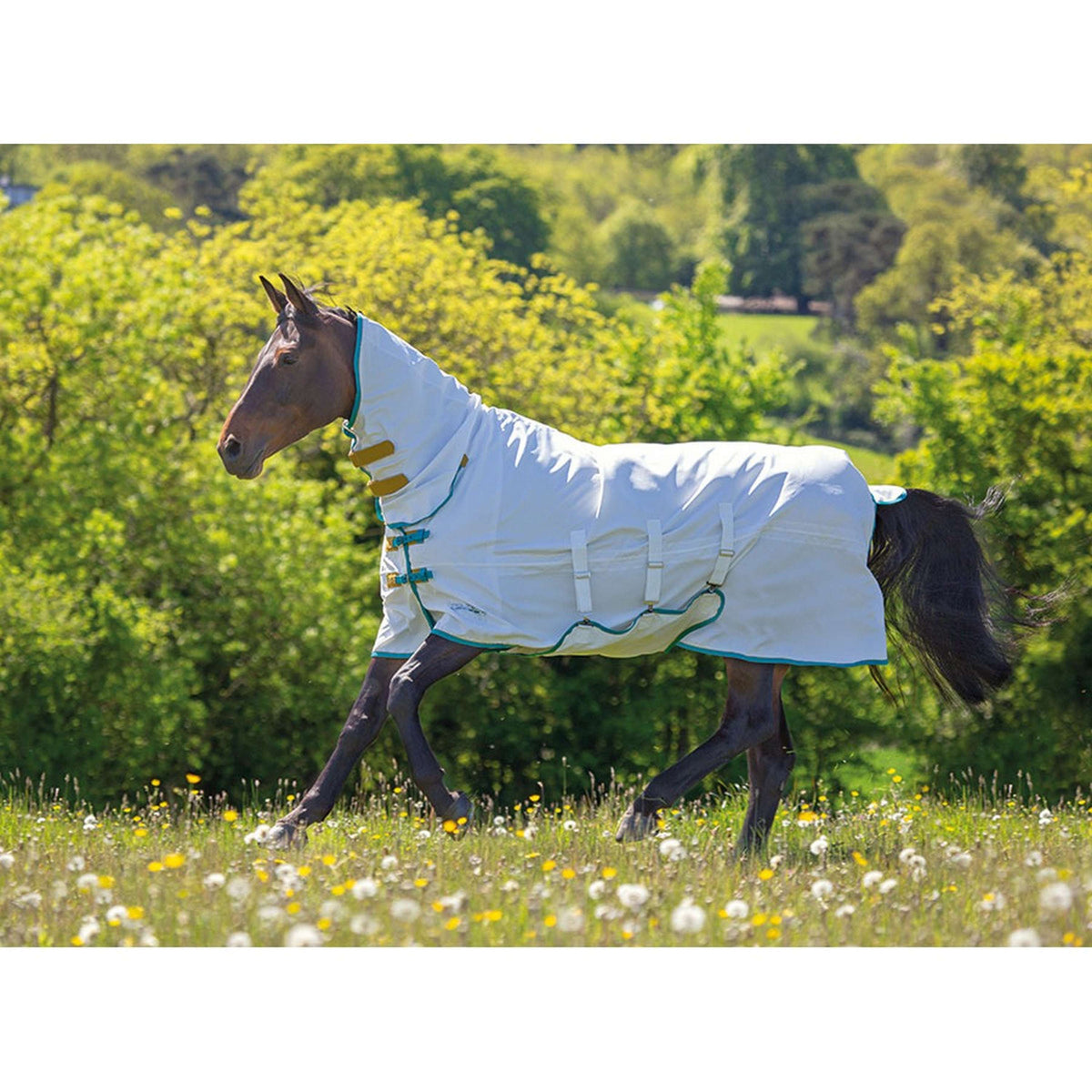 Tempest Plus by Shires Couverture Anti-Eczema Sweet-Itch Combo Blanc