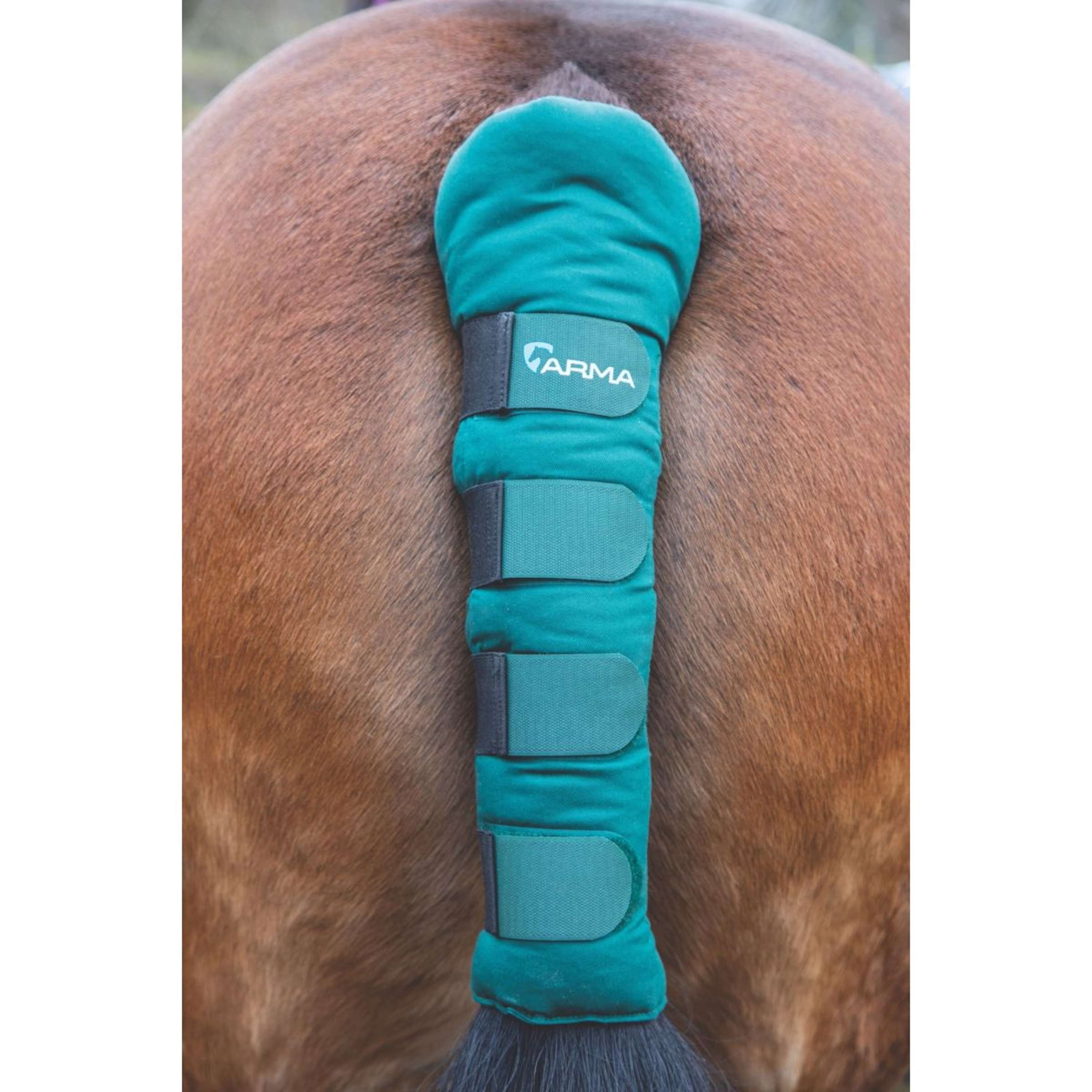 Arma by Shires Protege Queue Padded Vert Arma by Shires Protege Queue Padded Vert