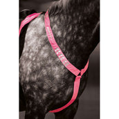 Equi-Flector by Shires Pièce de Poitrail Réfléchissant Fluor Rose