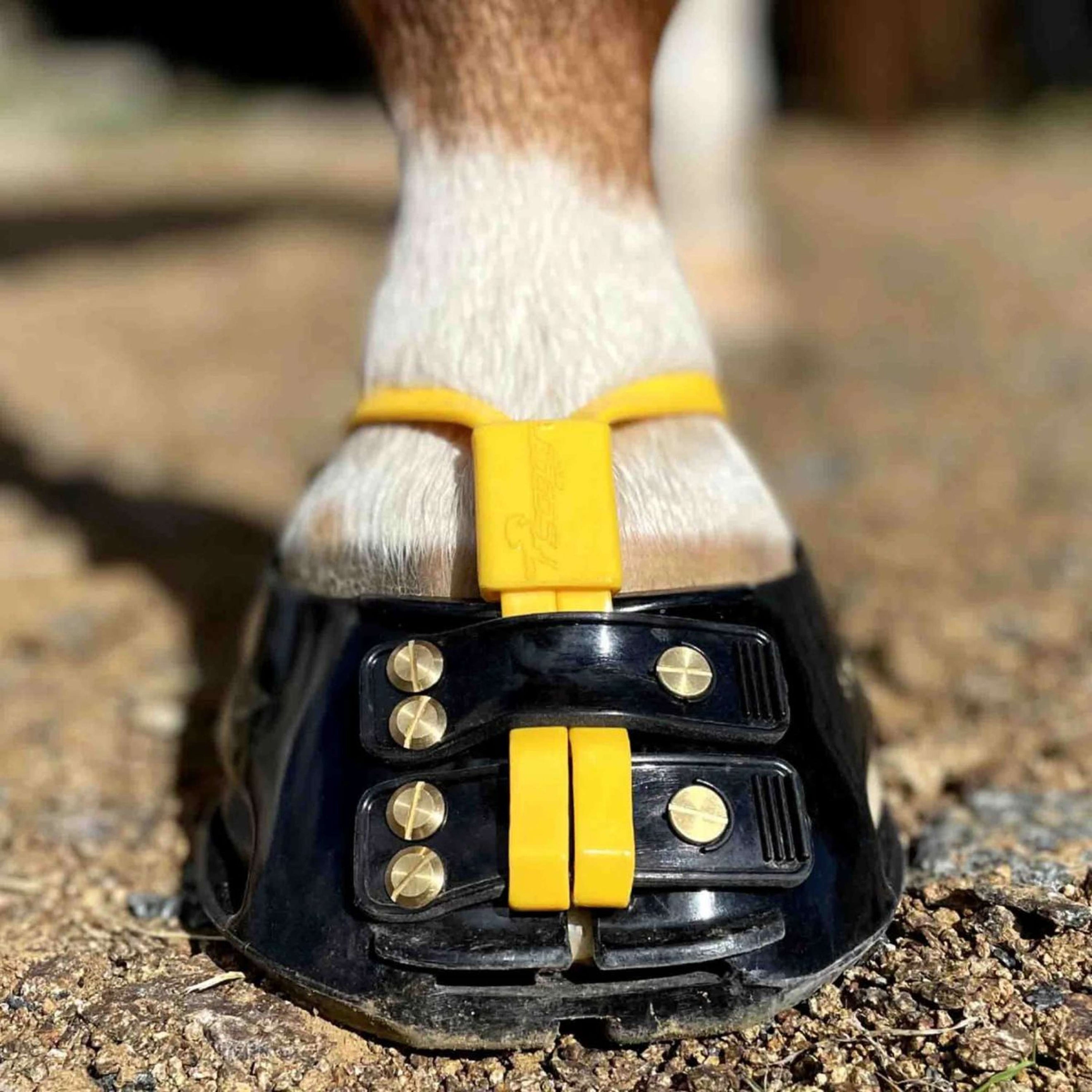 Scoot Boot Mud Strap Marigold Scoot Boot Mud Strap Marigold