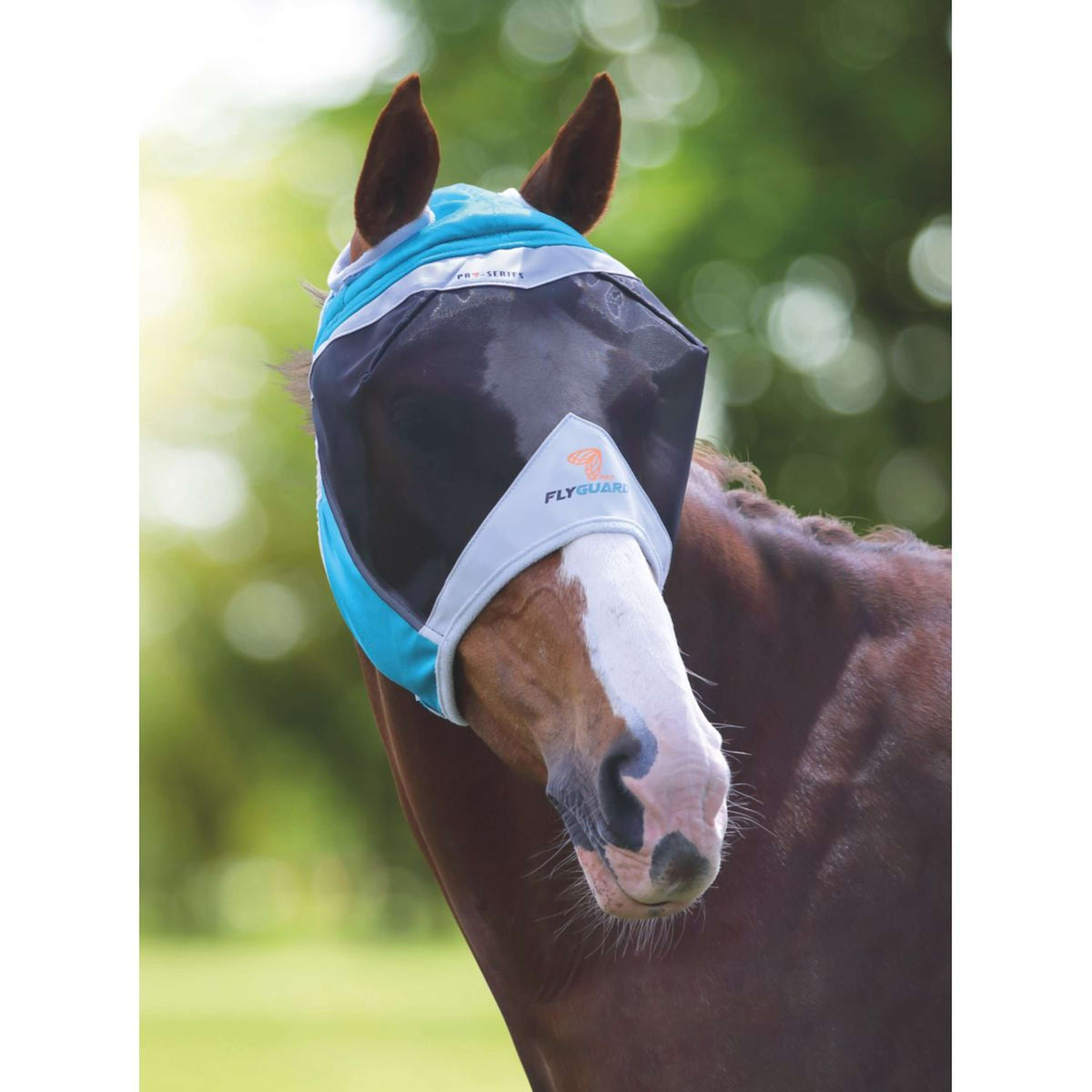 Shires Masque Anti-Mouches Filet Fin avec Découpe D'oreille Teal