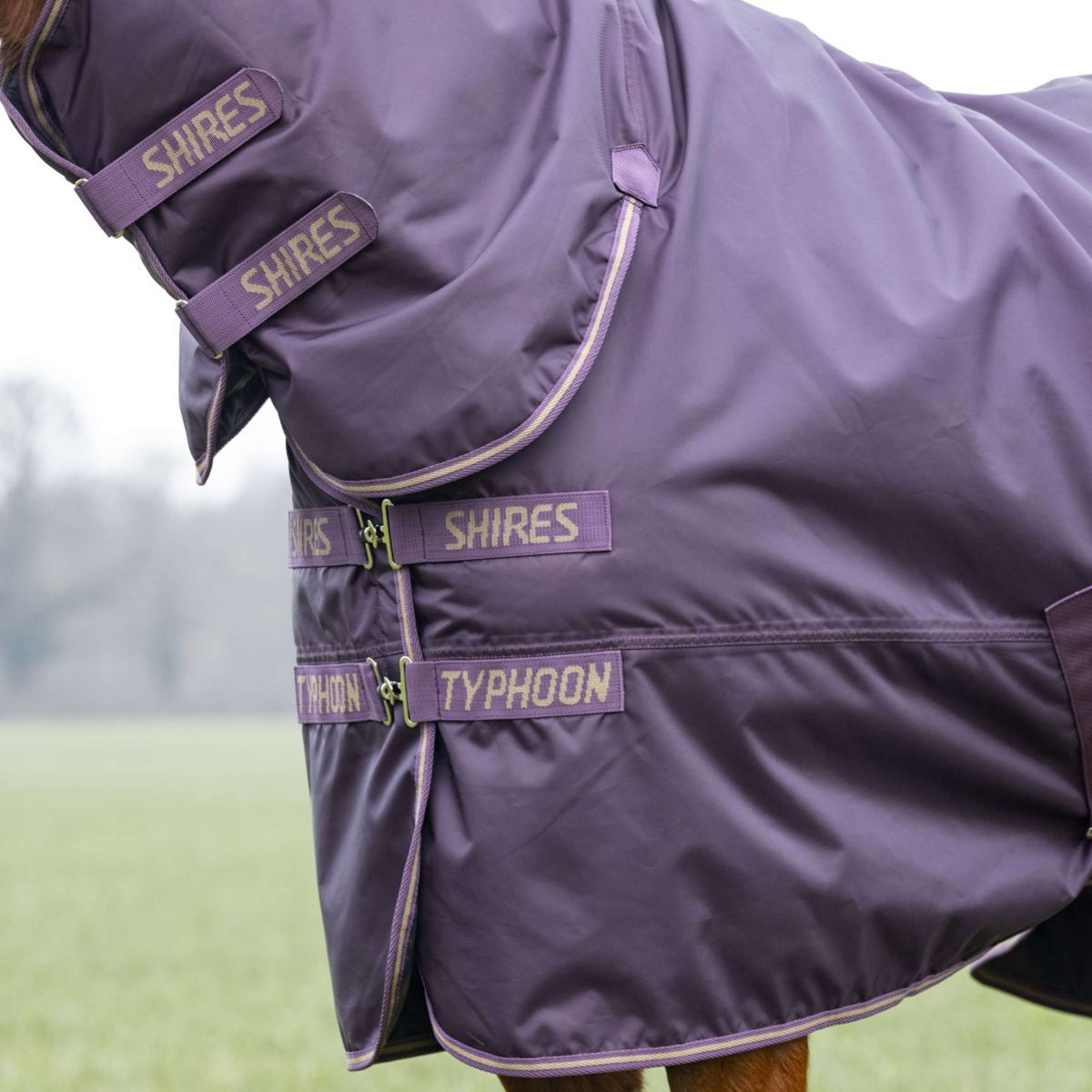 Tempest by Shires Couverture d'Hiver Turnout Typhoon 100g Black Cherry