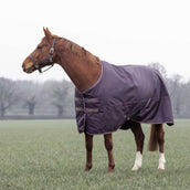Tempest by Shires Couverture d'Hiver Turnout Typhoon 100g Black Cherry