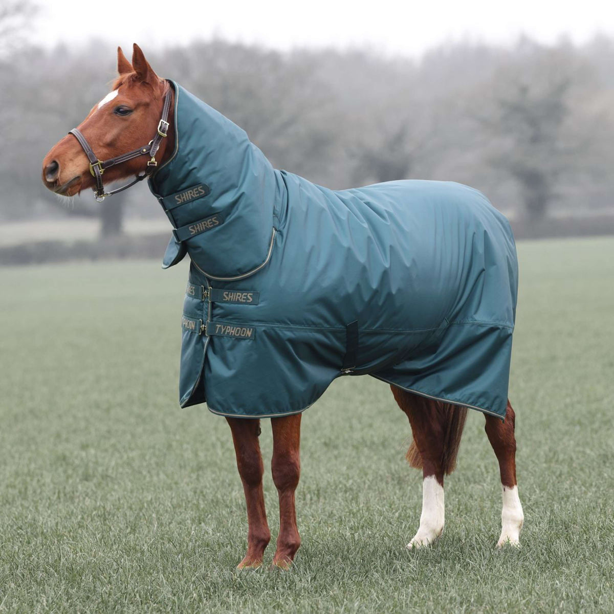 Tempest by Shires Couverture d'Hiver Turnout Typhoon 200g Vert