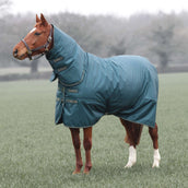 Tempest by Shires Couverture d'Hiver Turnout Typhoon 200g Vert