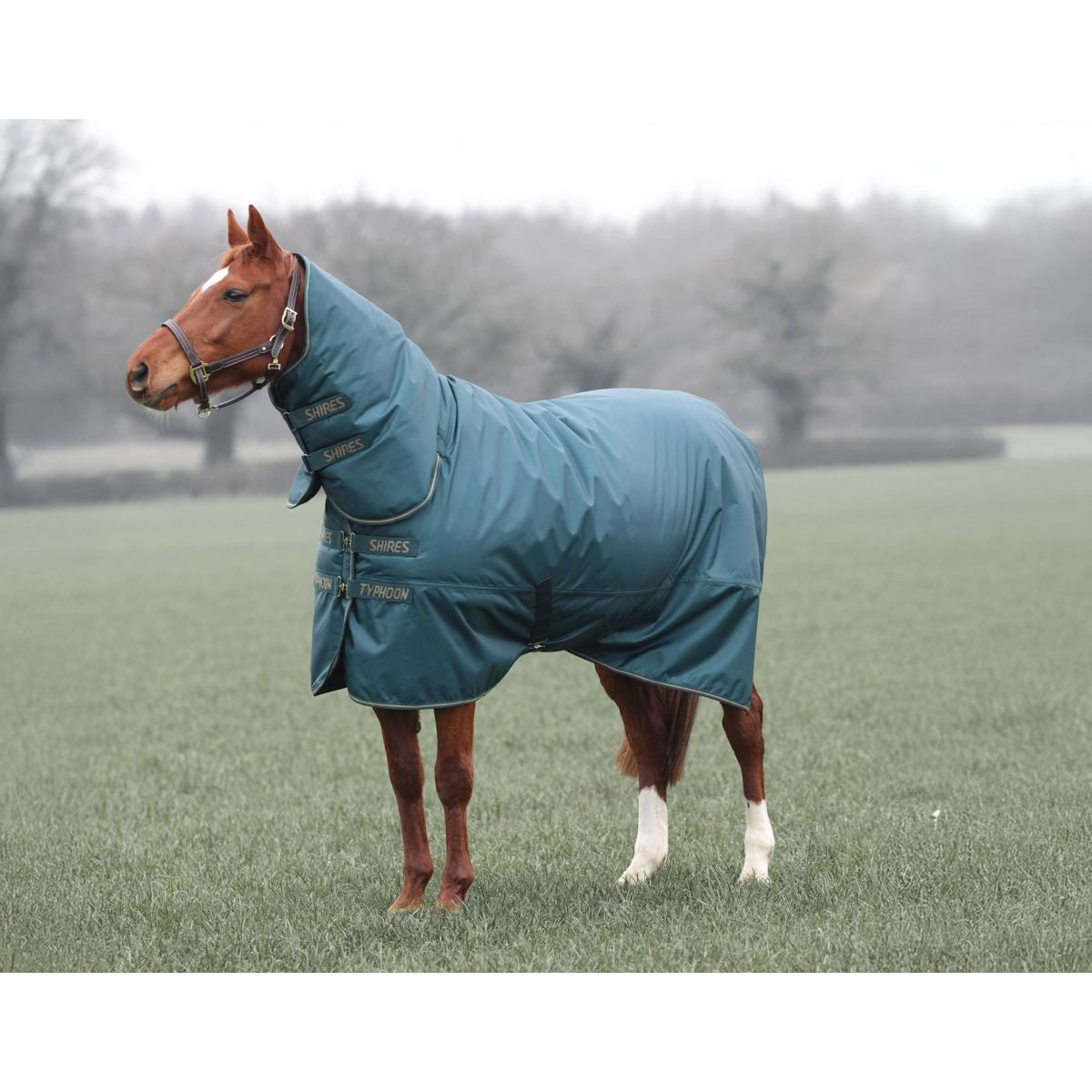 Tempest by Shires Couverture d'Hiver Turnout Typhoon 200g Vert